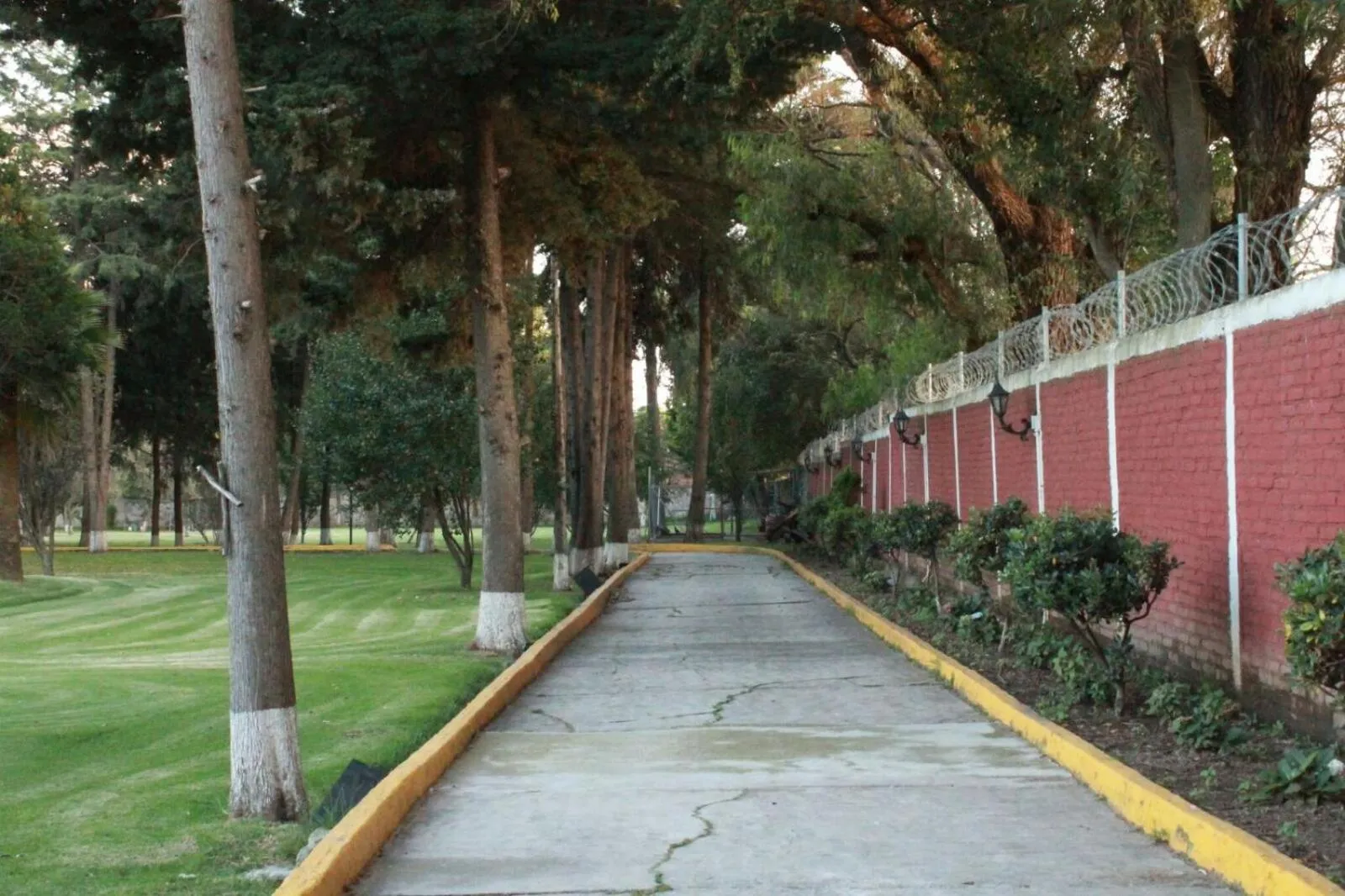 Garden in Hotel Finca Las Hortensias