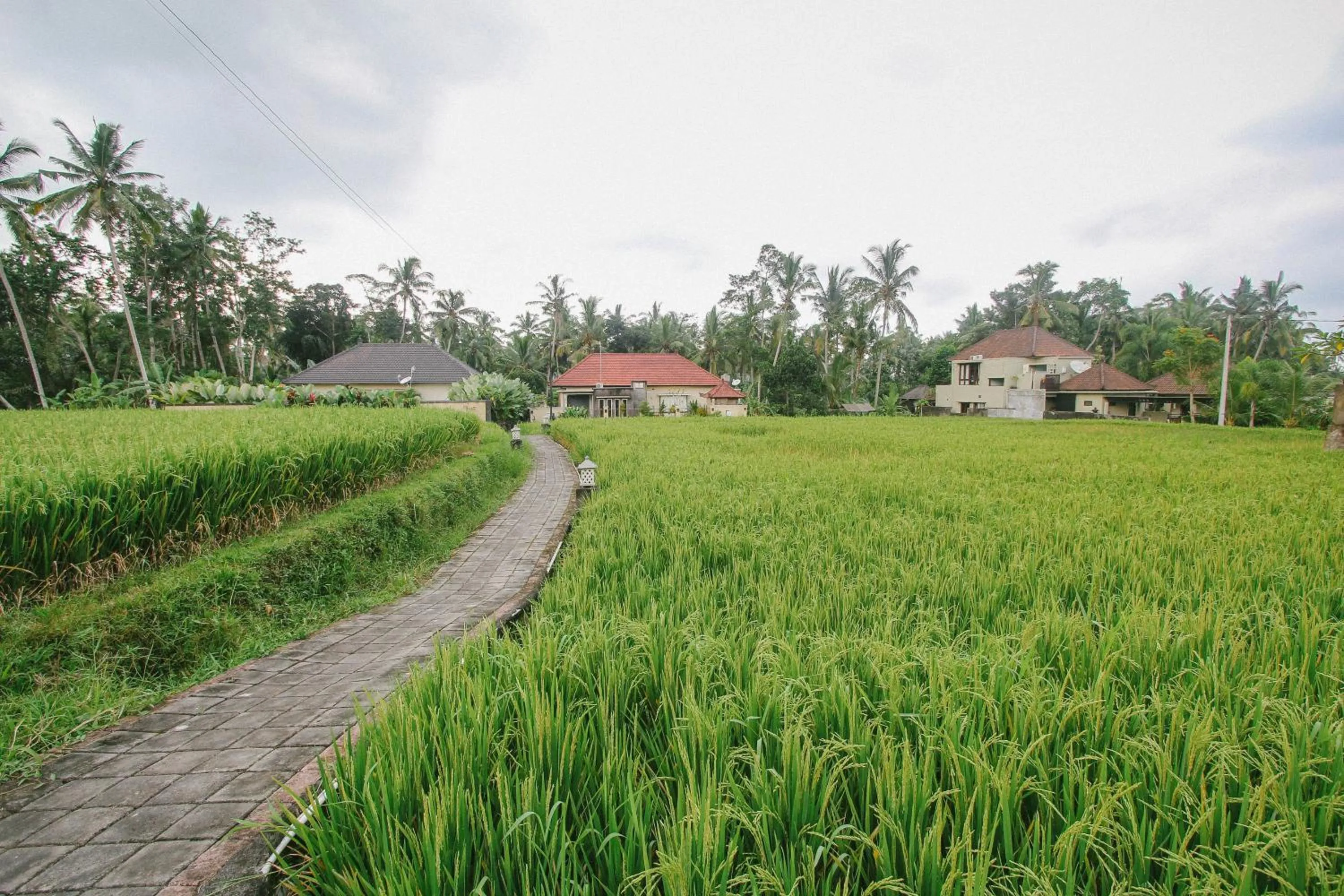 Garden view in Casa Priya Ubud