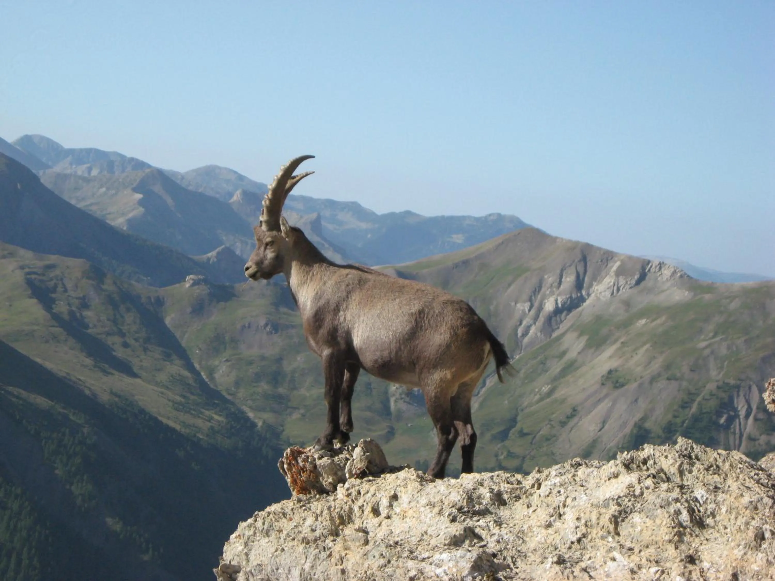 Hiking in Hotel-Restaurant La Lauzétane