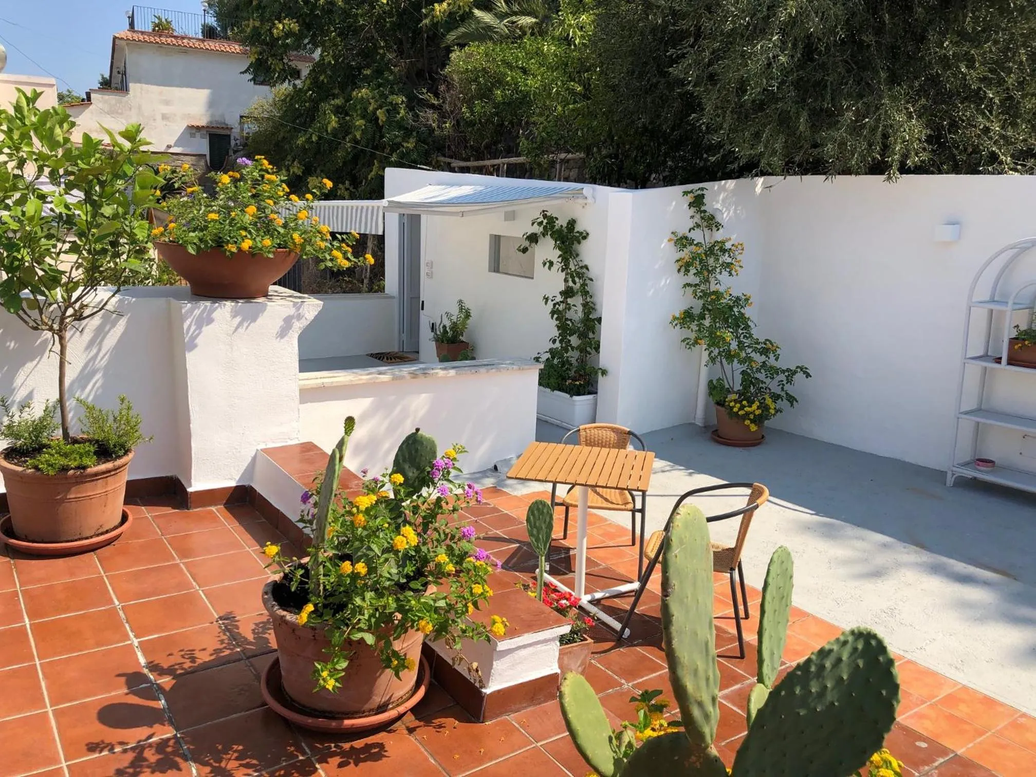 Balcony/Terrace in Molo35