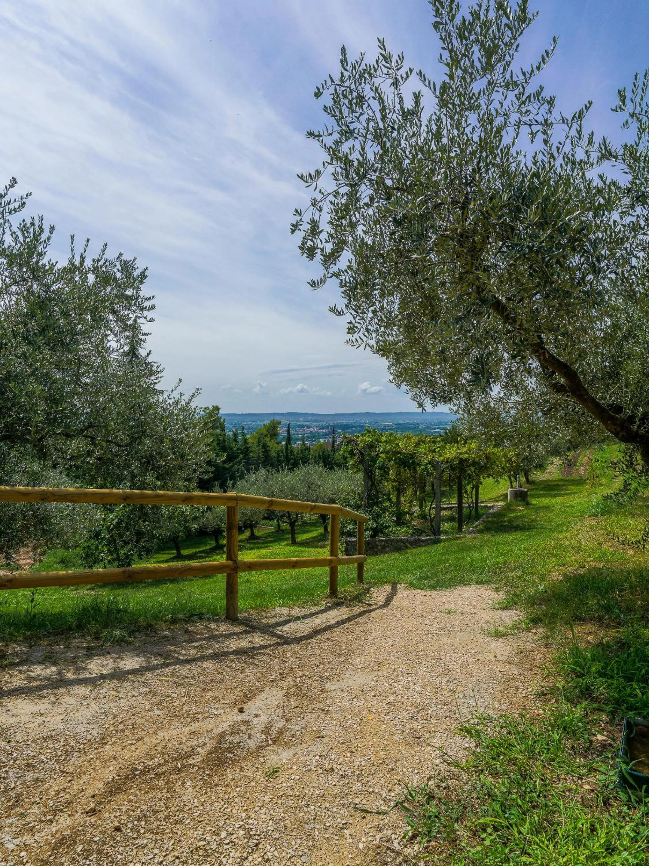 Natural landscape in Cà Toresele Relais Osteria Garden