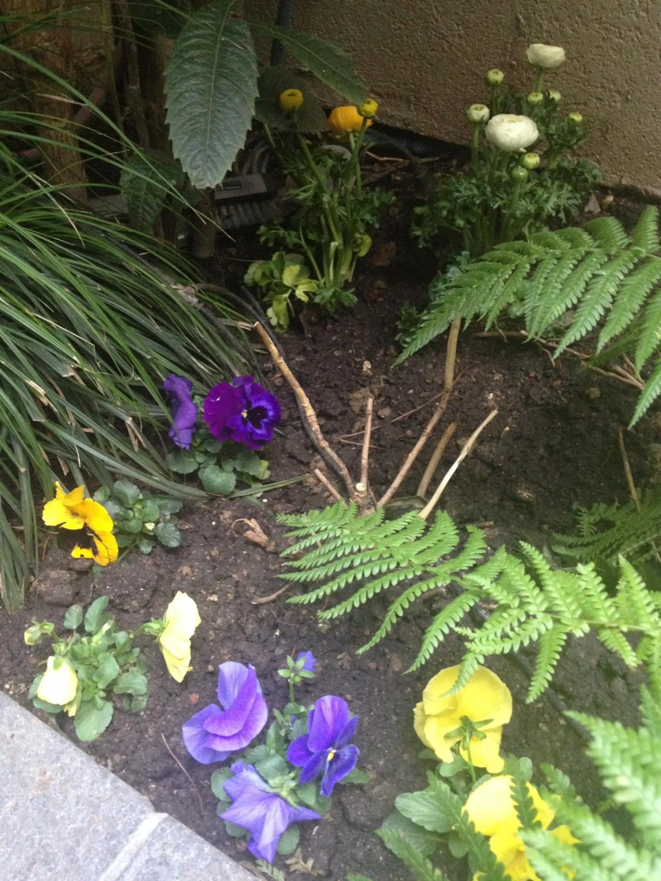 Garden in Hôtel Elysées Flaubert