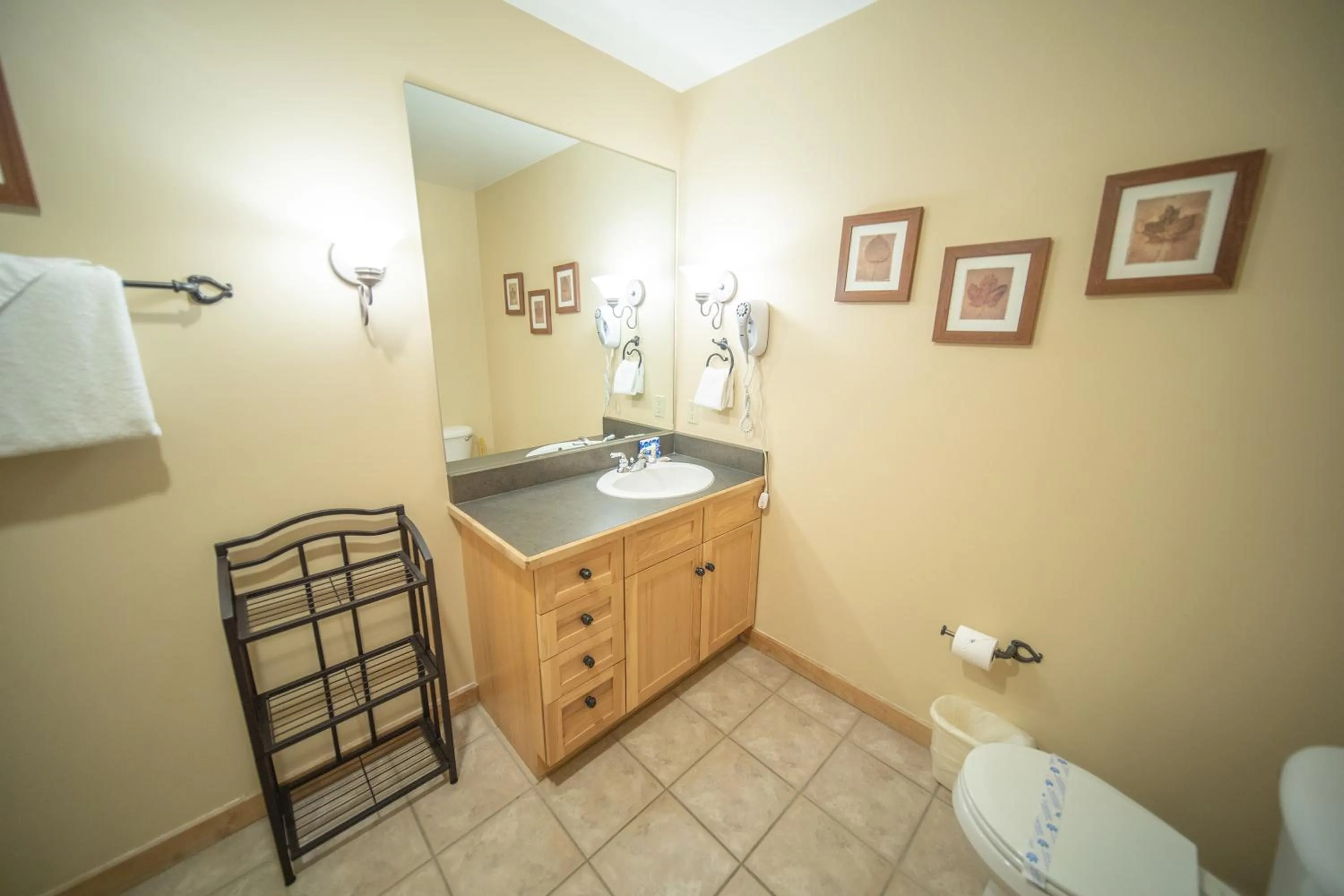 Buffalo Lodge 8327 by SummitCove Lodging