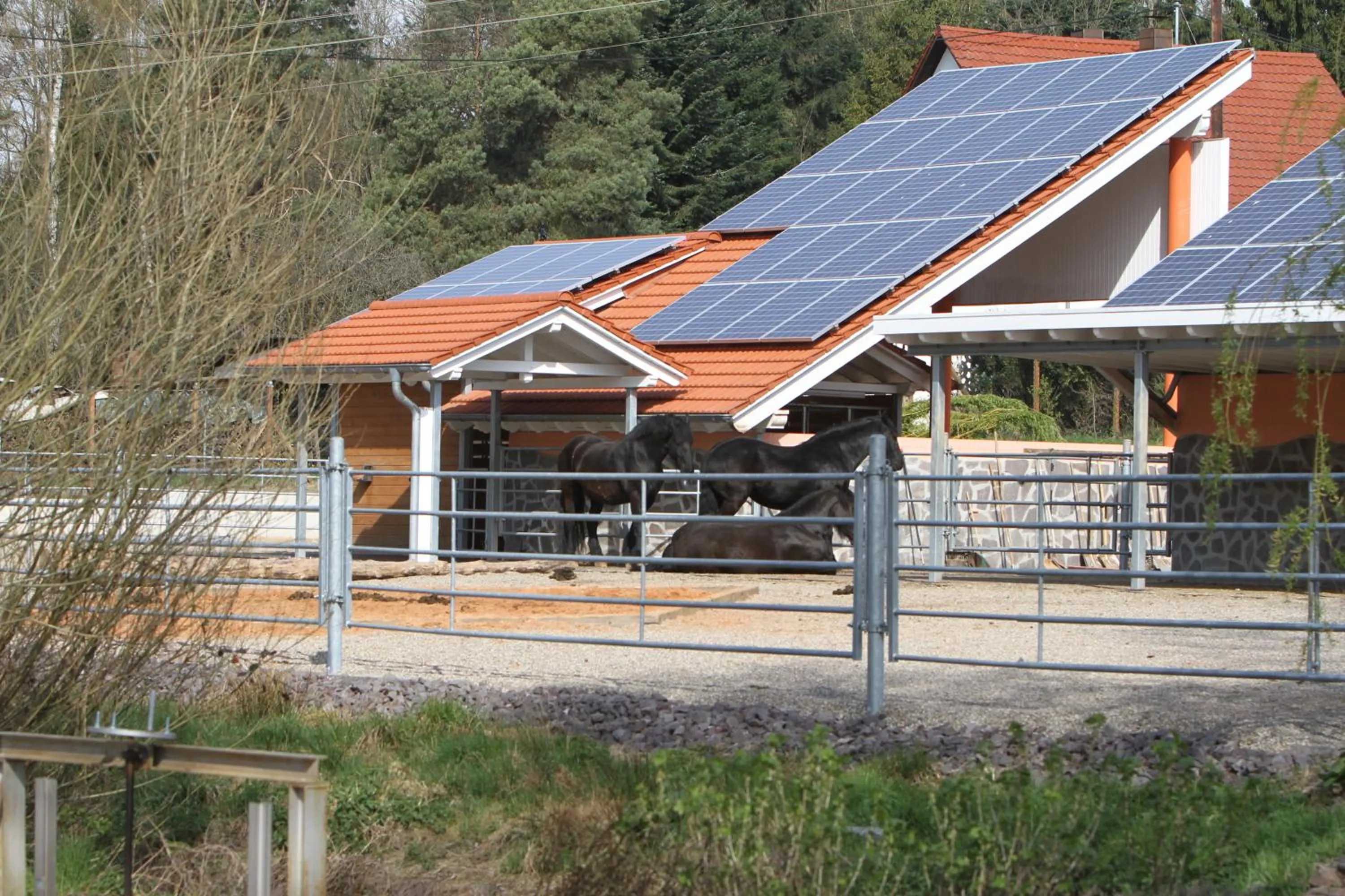 Garden, Property Building in SaarlandTraum Weihermühle