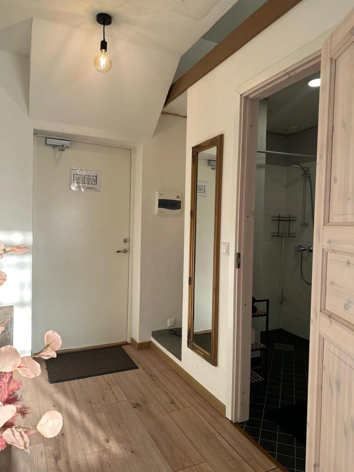 Photo of the whole room in Filosoofi 1 Studio Apartments
