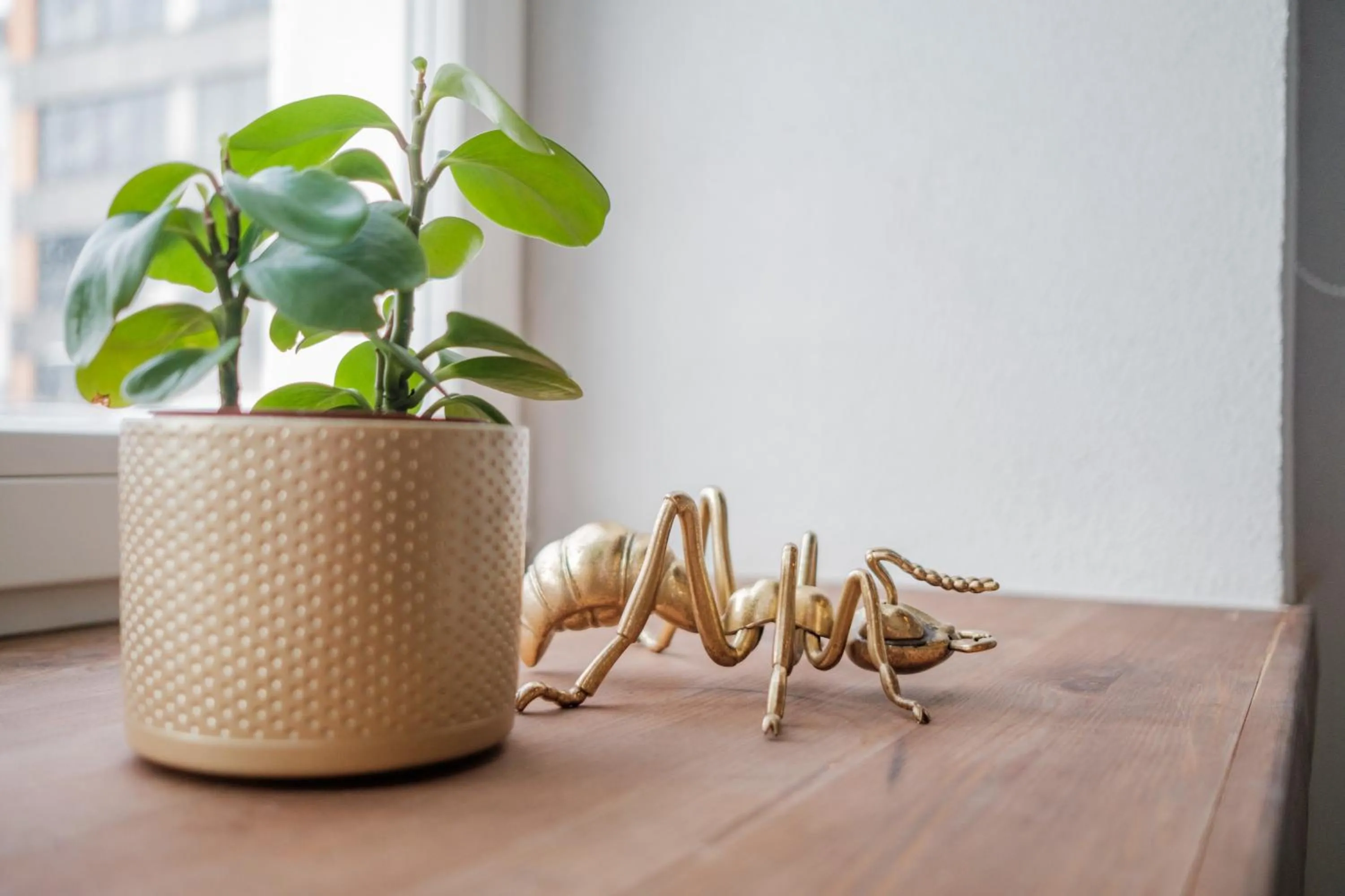 Decorative detail in Filosoofi 1 Studio Apartments