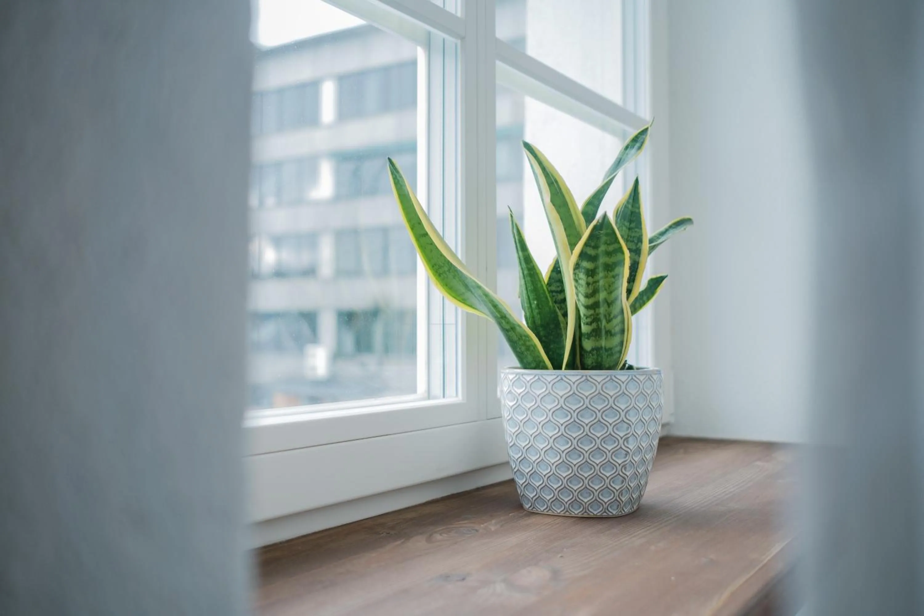 Decorative detail in Filosoofi 1 Studio Apartments