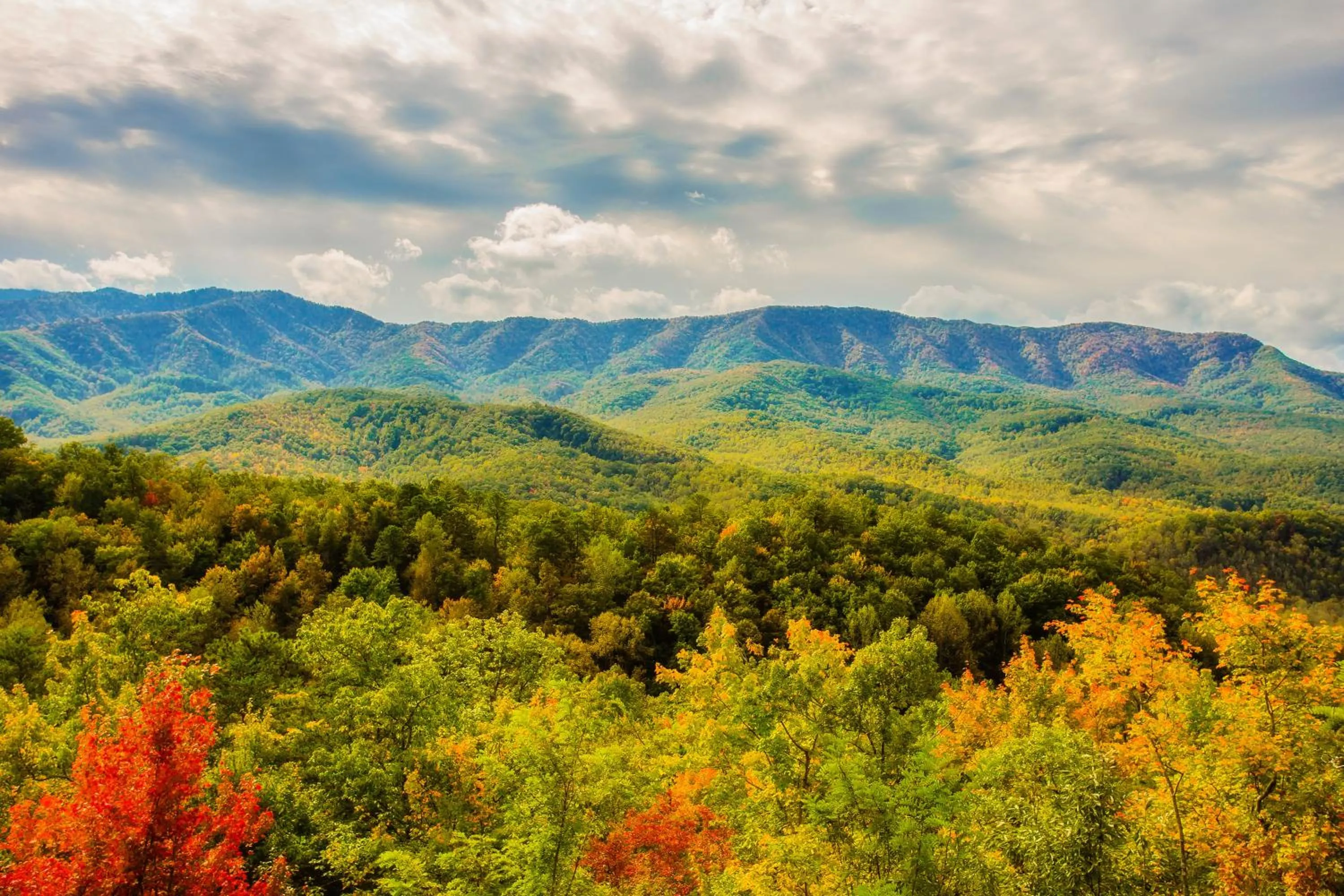 Mountain view in Star Dancer Cabin