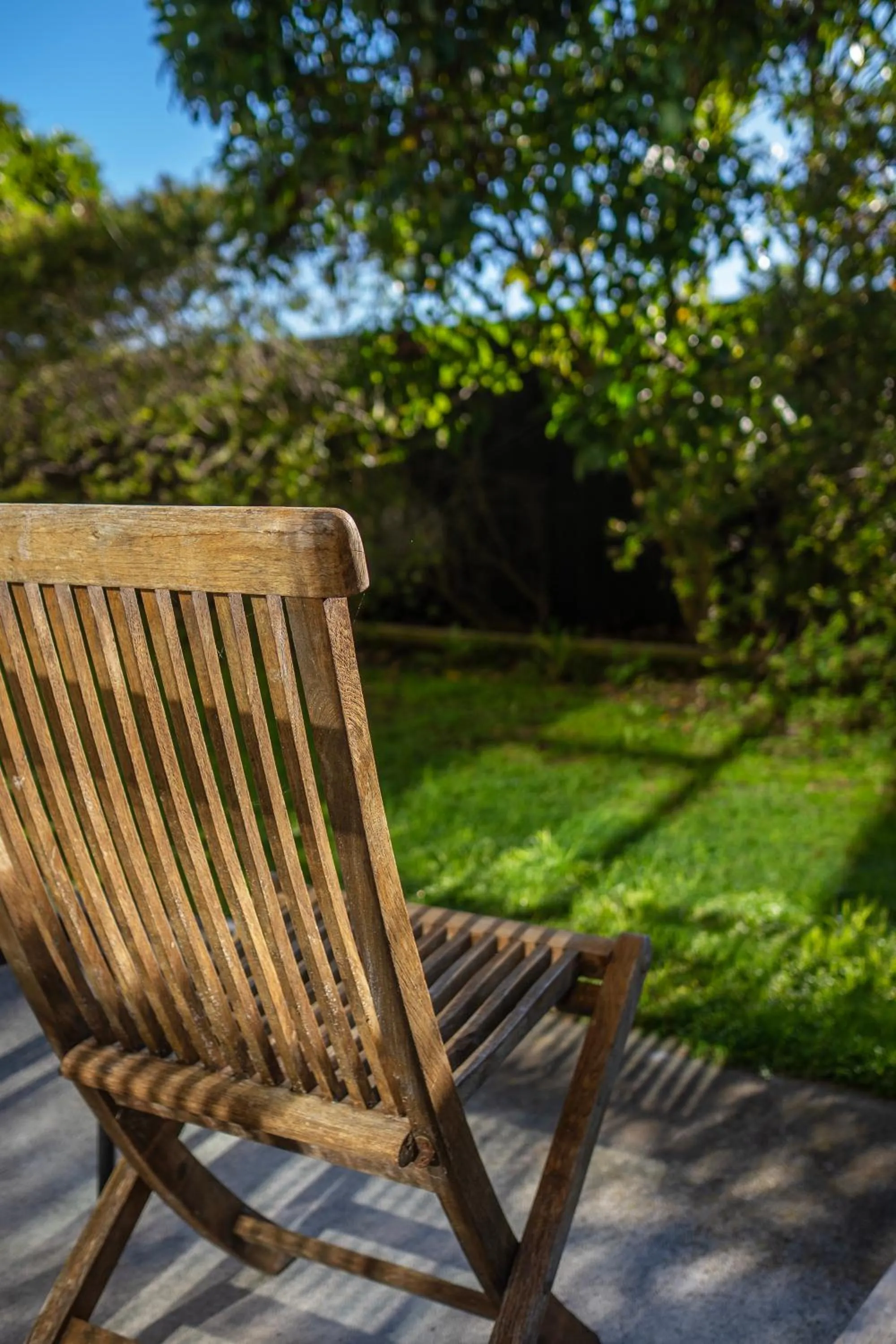 Garden in Mondello Kaikoura