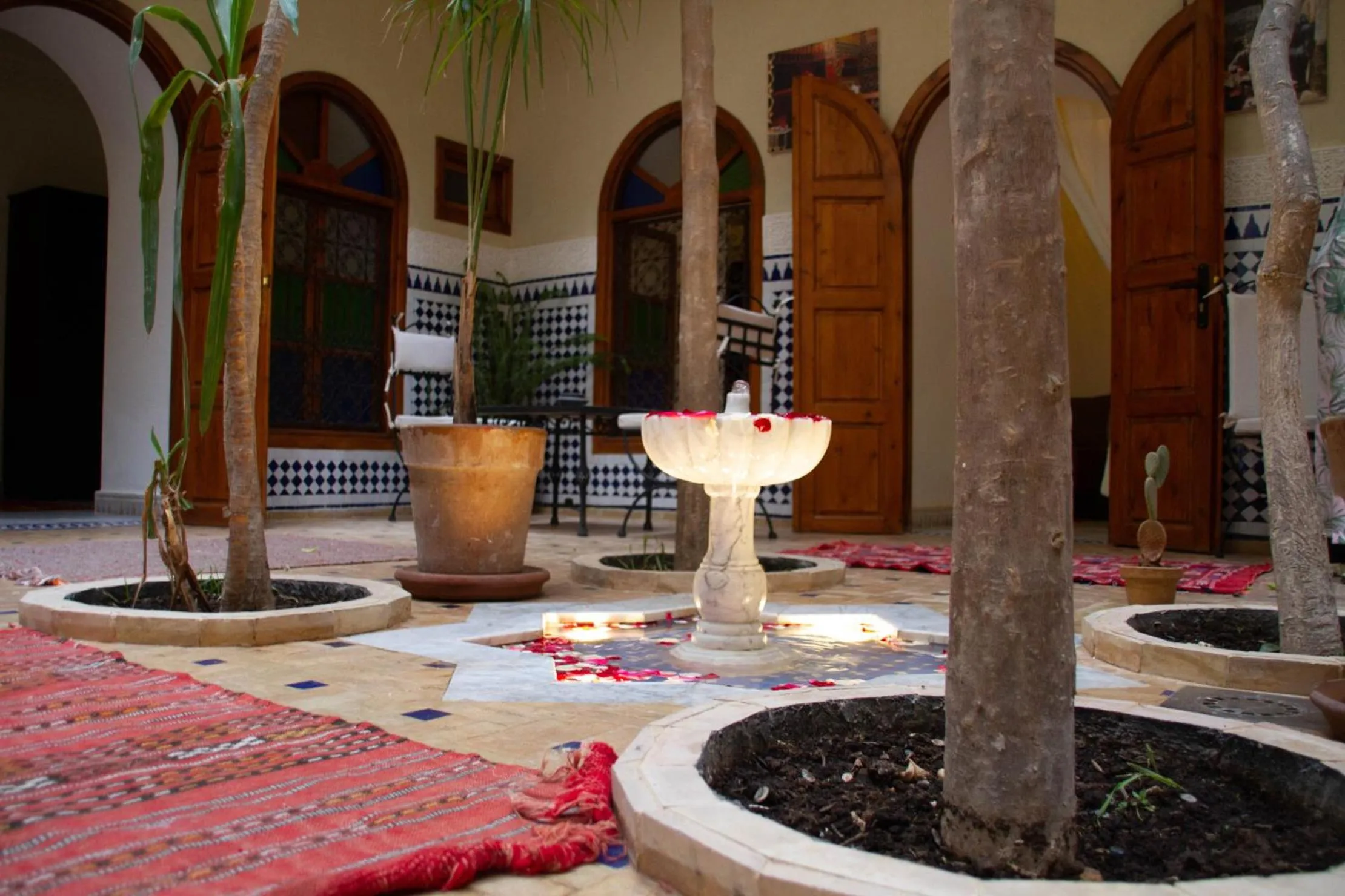Patio in Riad Dar Tamlil