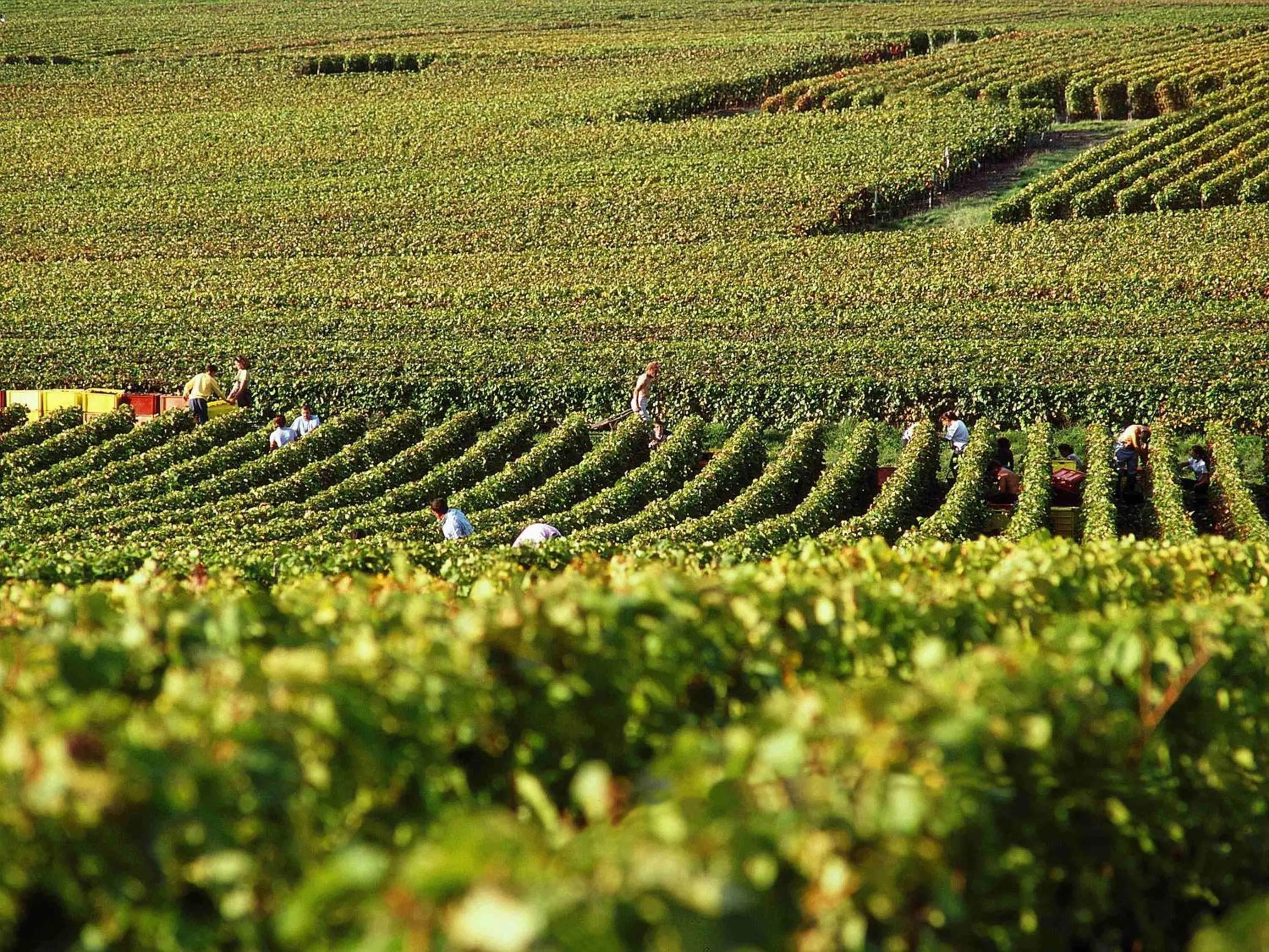 Other in Ibis Styles Reims Centre