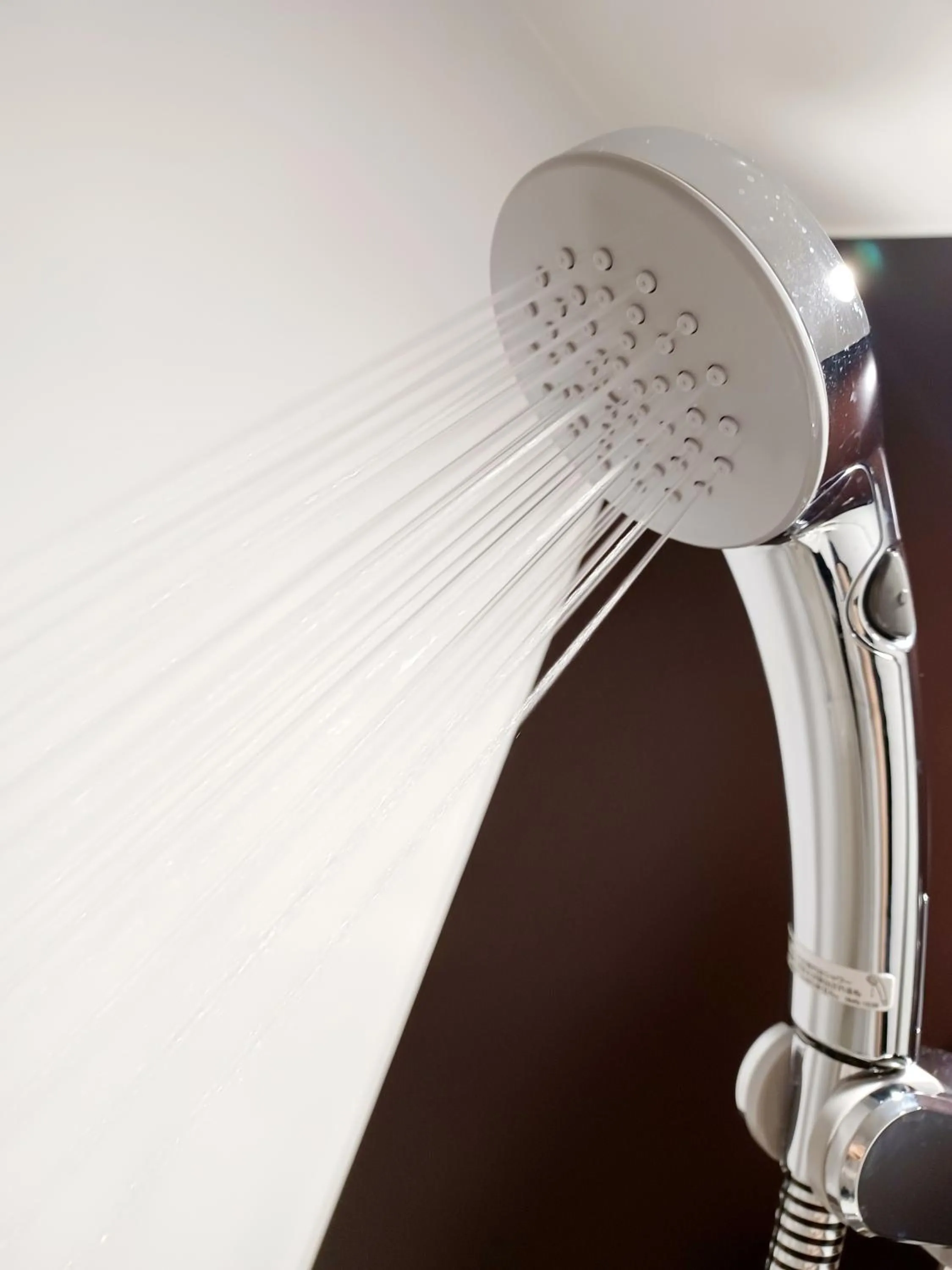 Shower in Akasaka Urban Hotel Annex