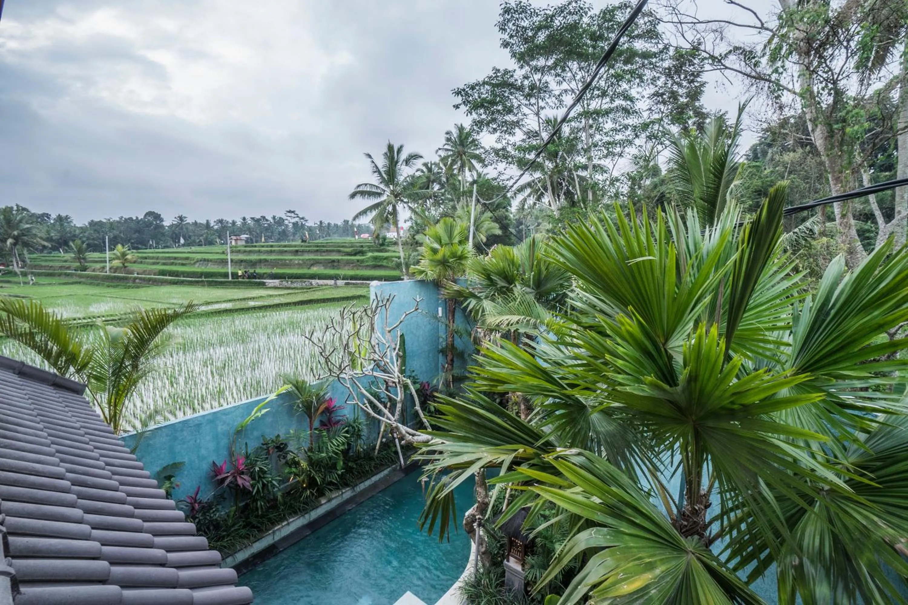 Pool view in Villa Tanah Carik by Mahaputra