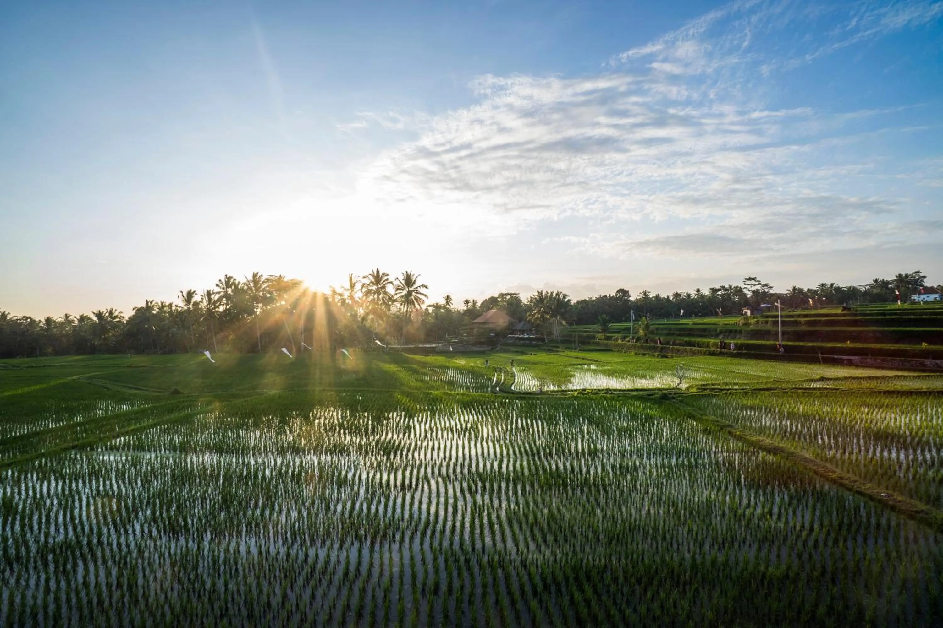 Sunset in Villa Tanah Carik by Mahaputra