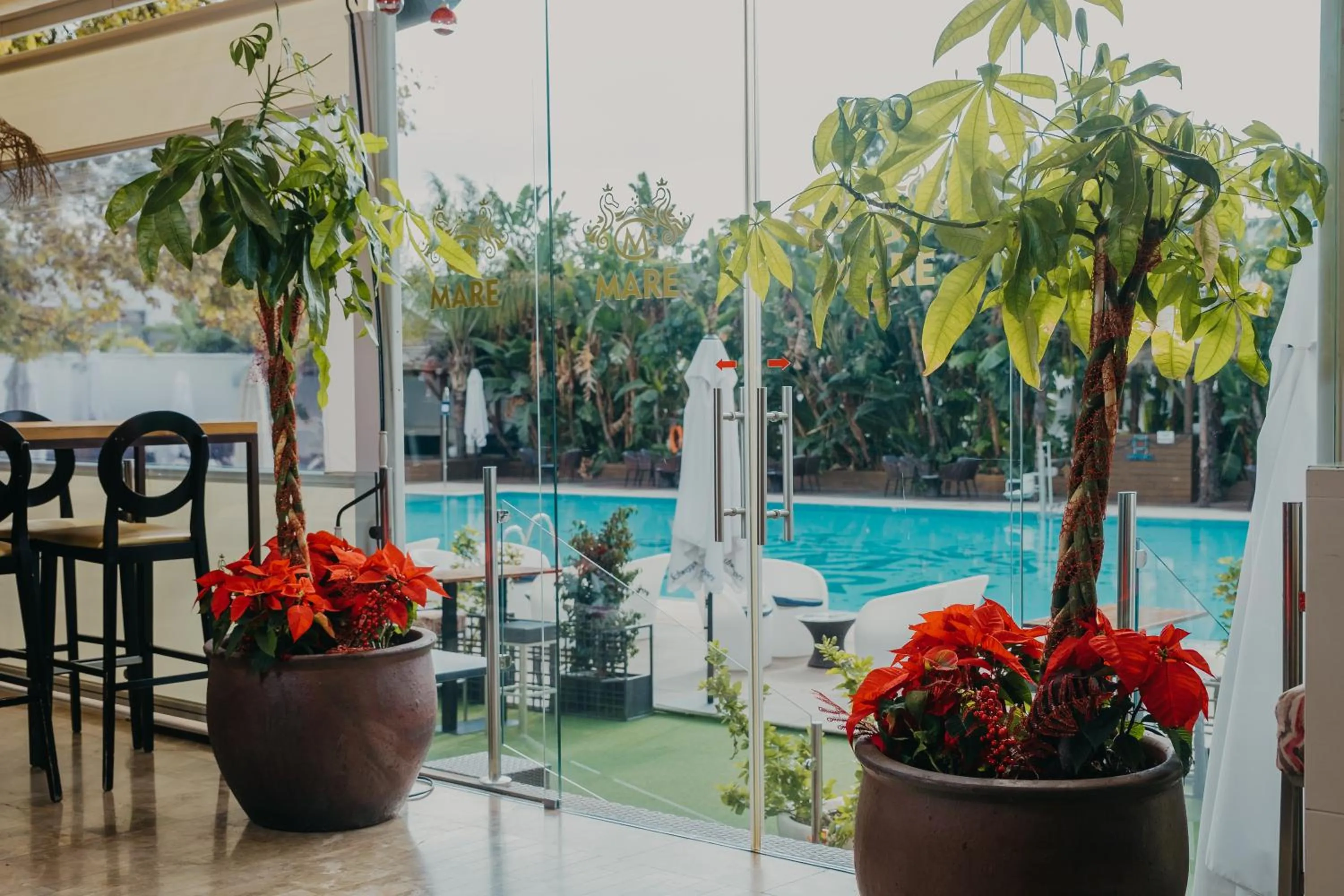 Restaurant/places to eat in Mare Hotel