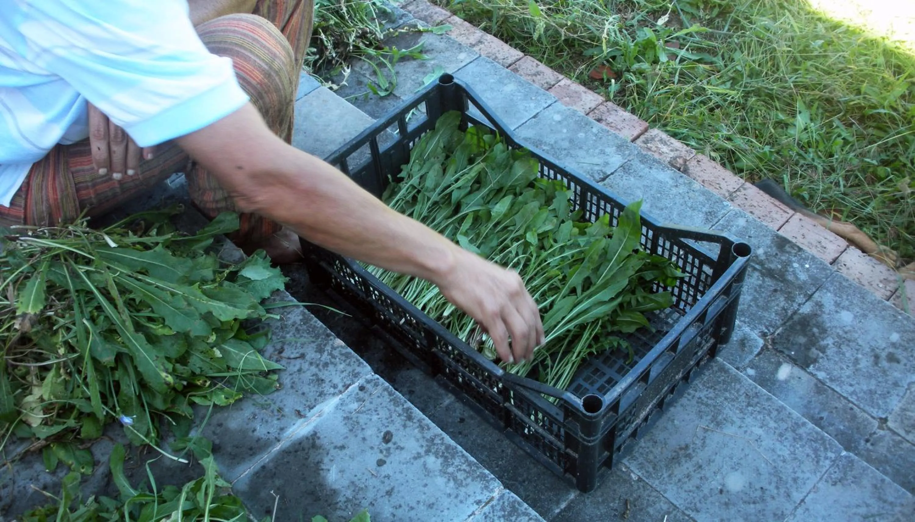 Day in Casa del Geco