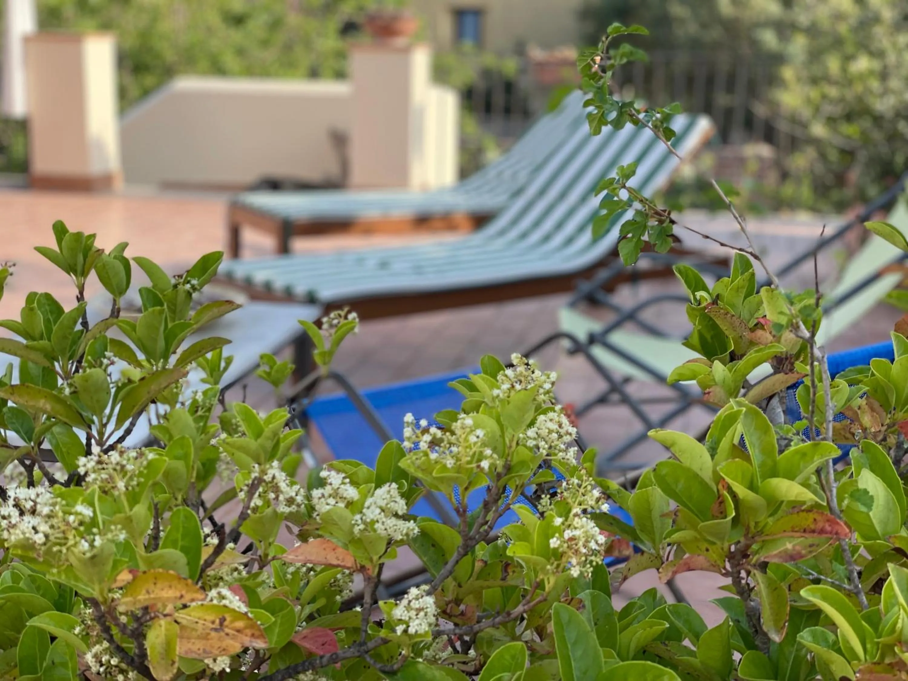 Summer in Casa del Geco