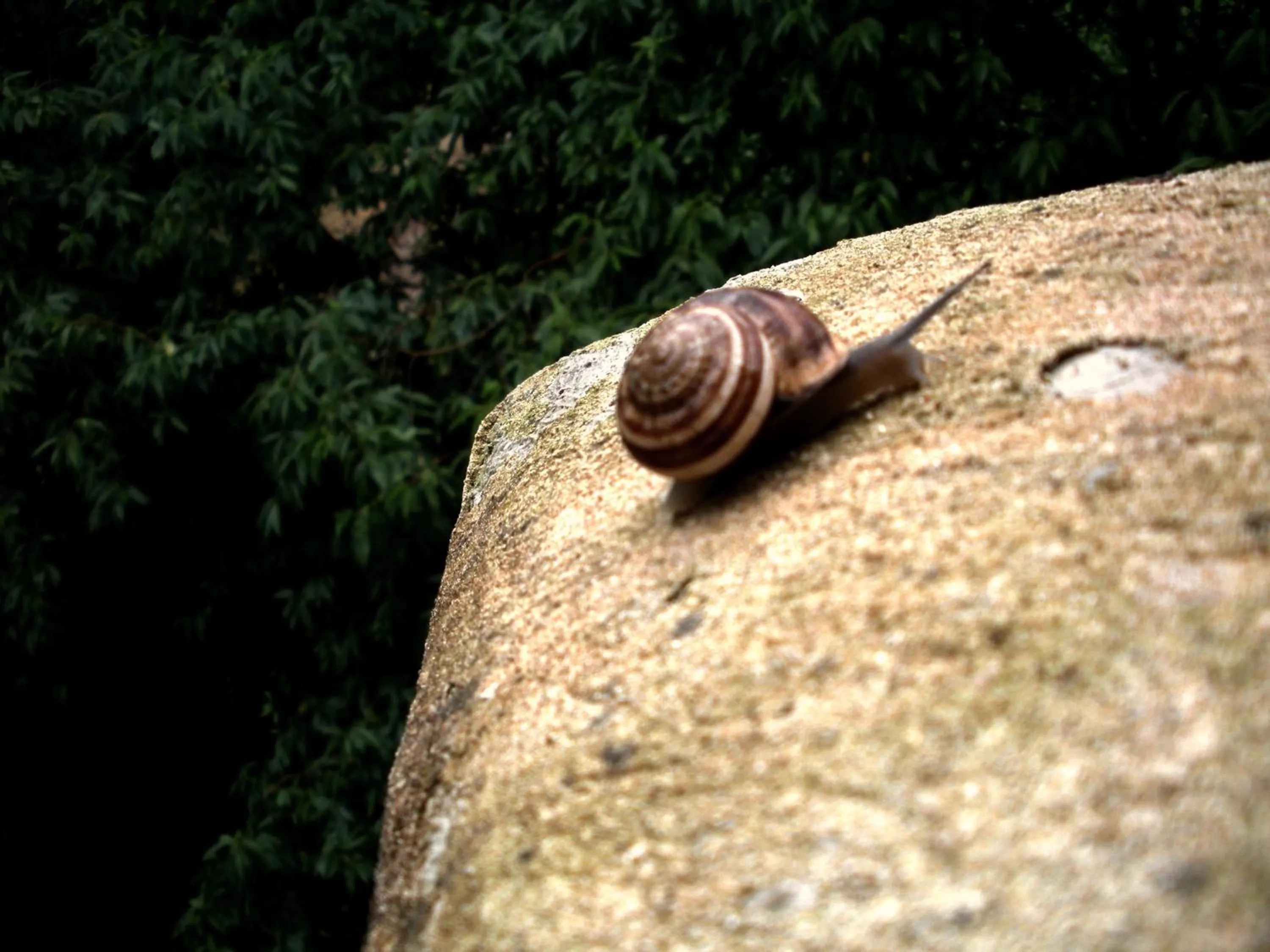 Day in Casa del Geco