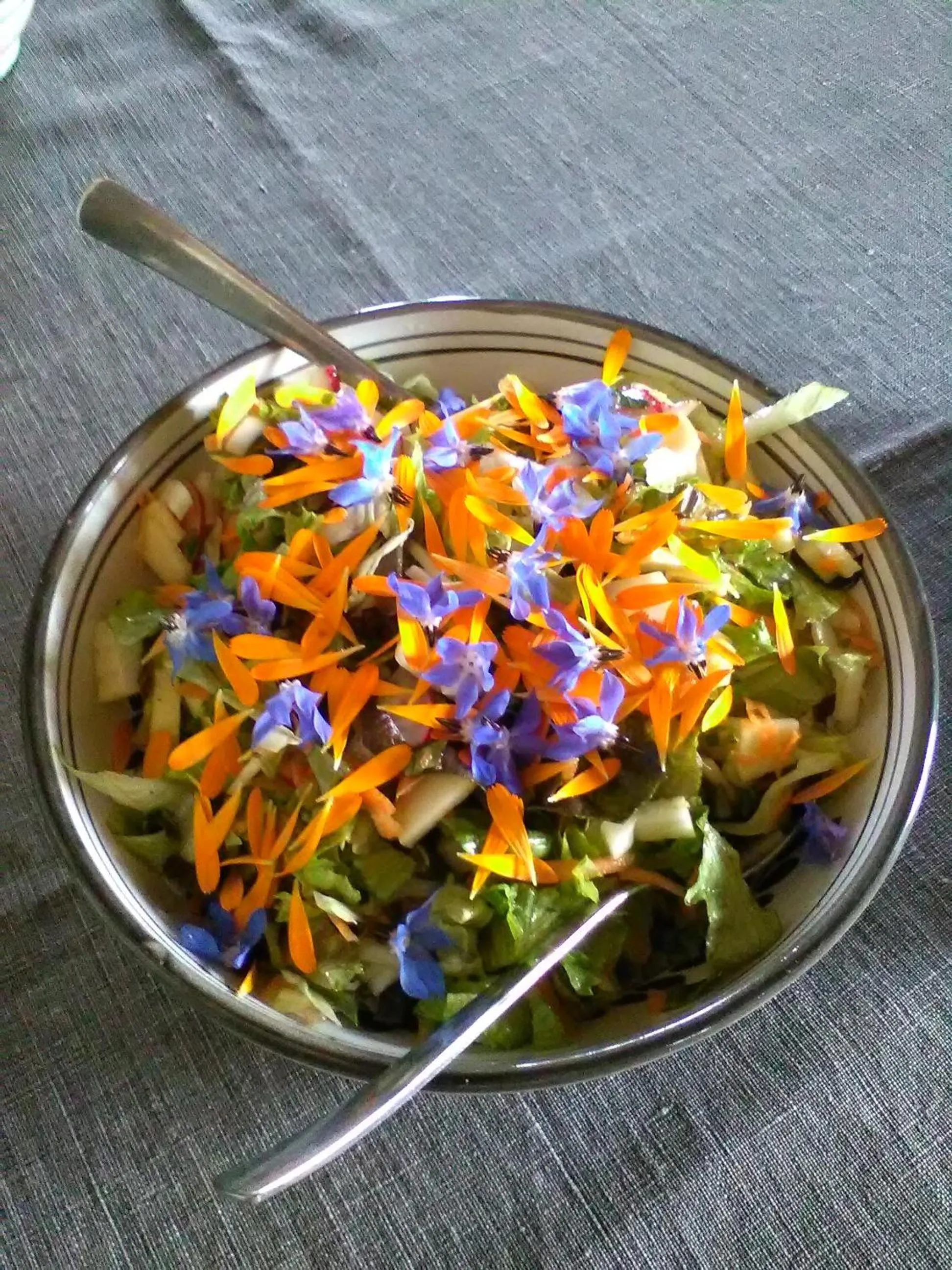 Restaurant/places to eat in Casa del Geco