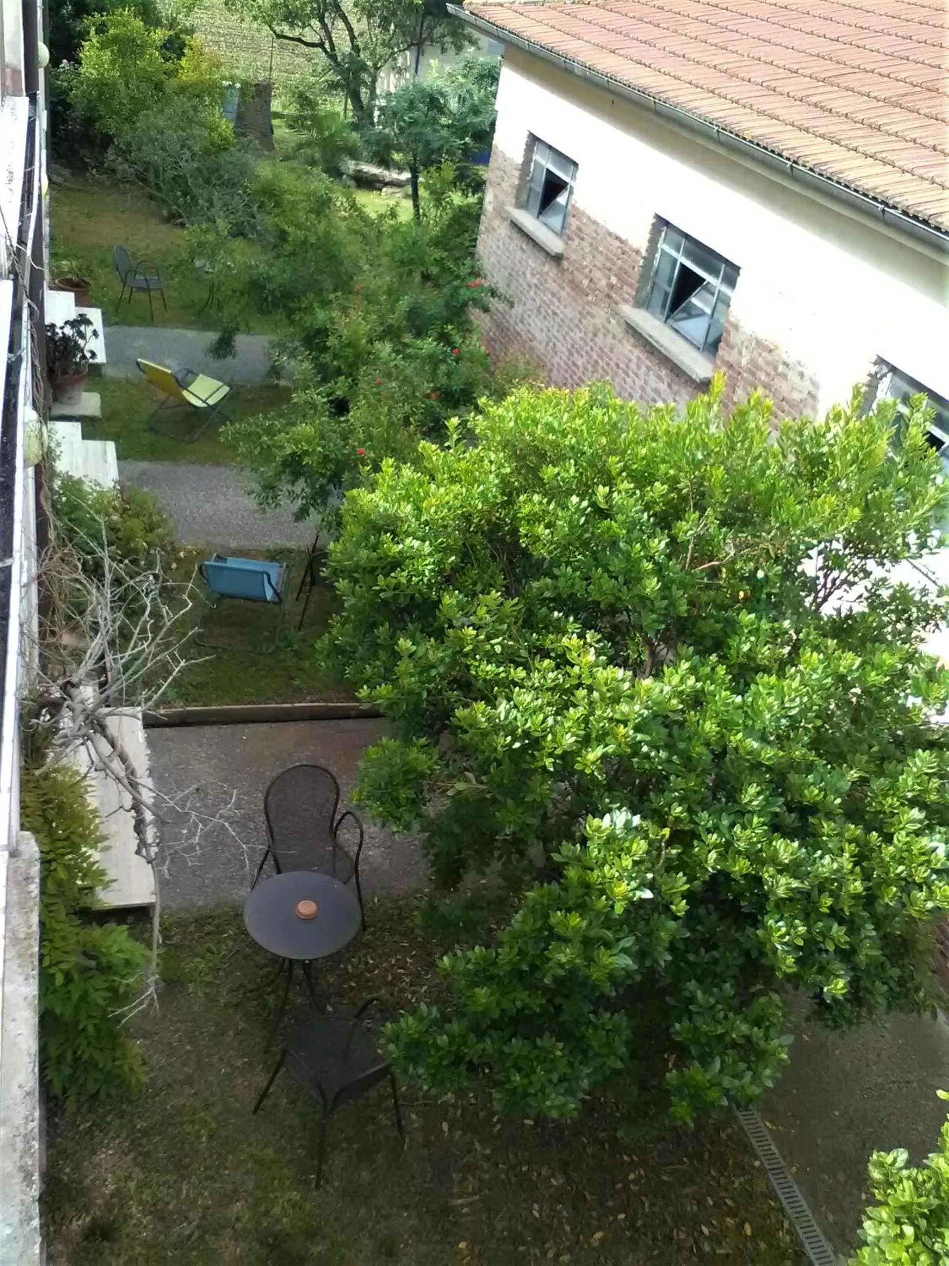 Spring in Casa del Geco