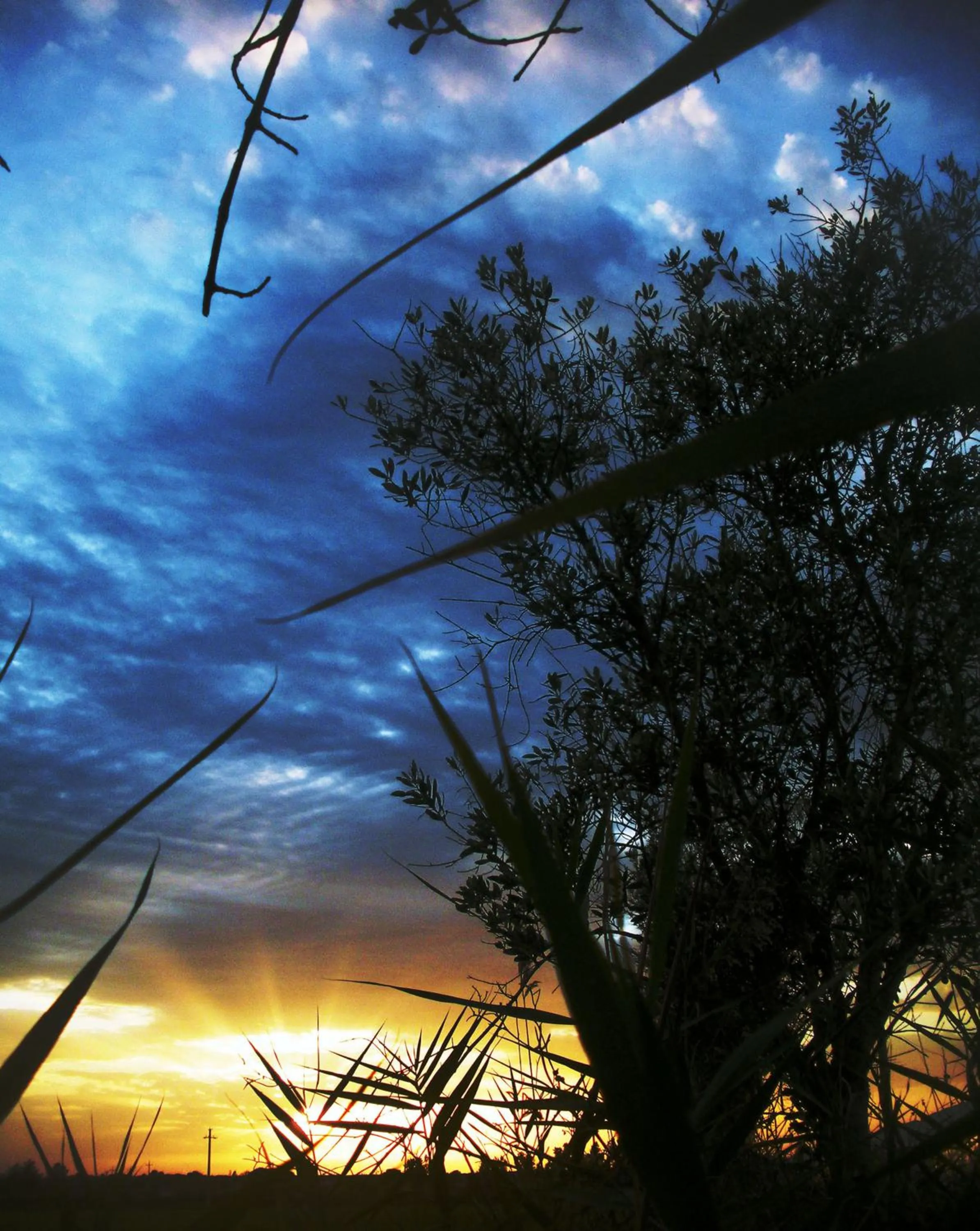 Sunset in Casa del Geco