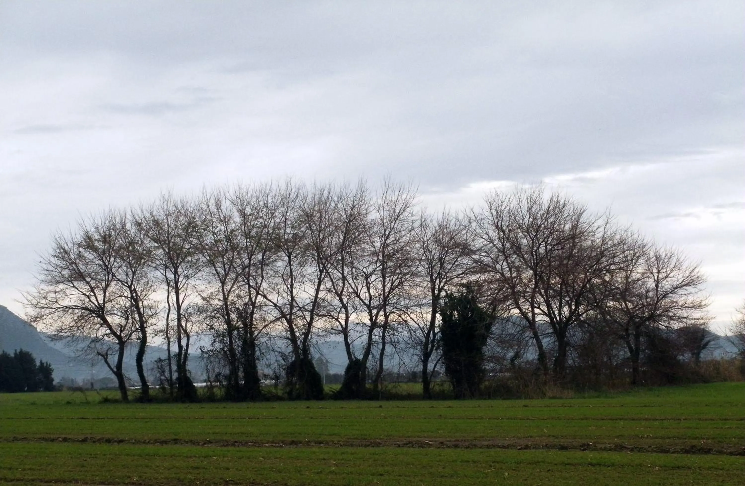 Day in Casa del Geco