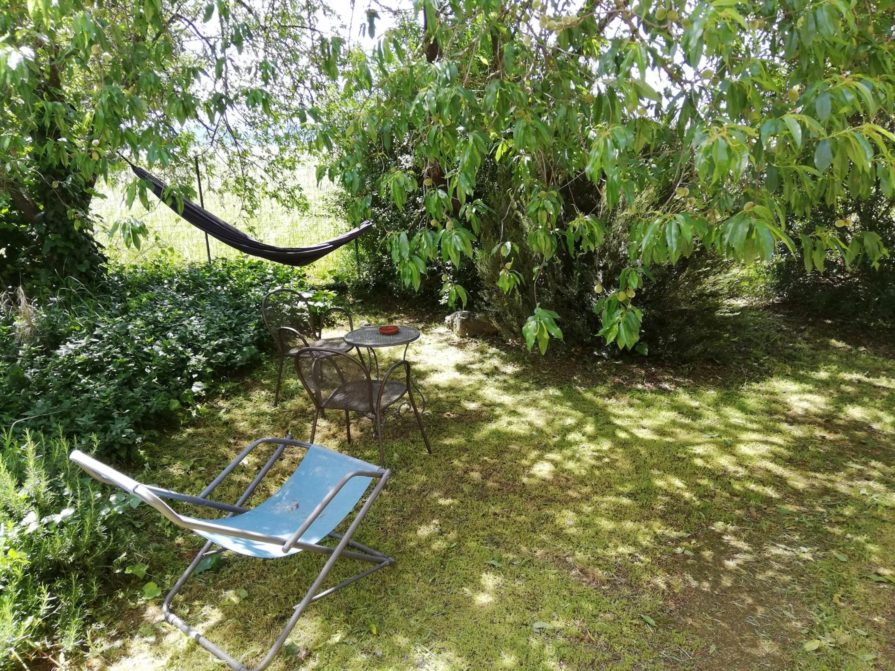 Garden in Casa del Geco