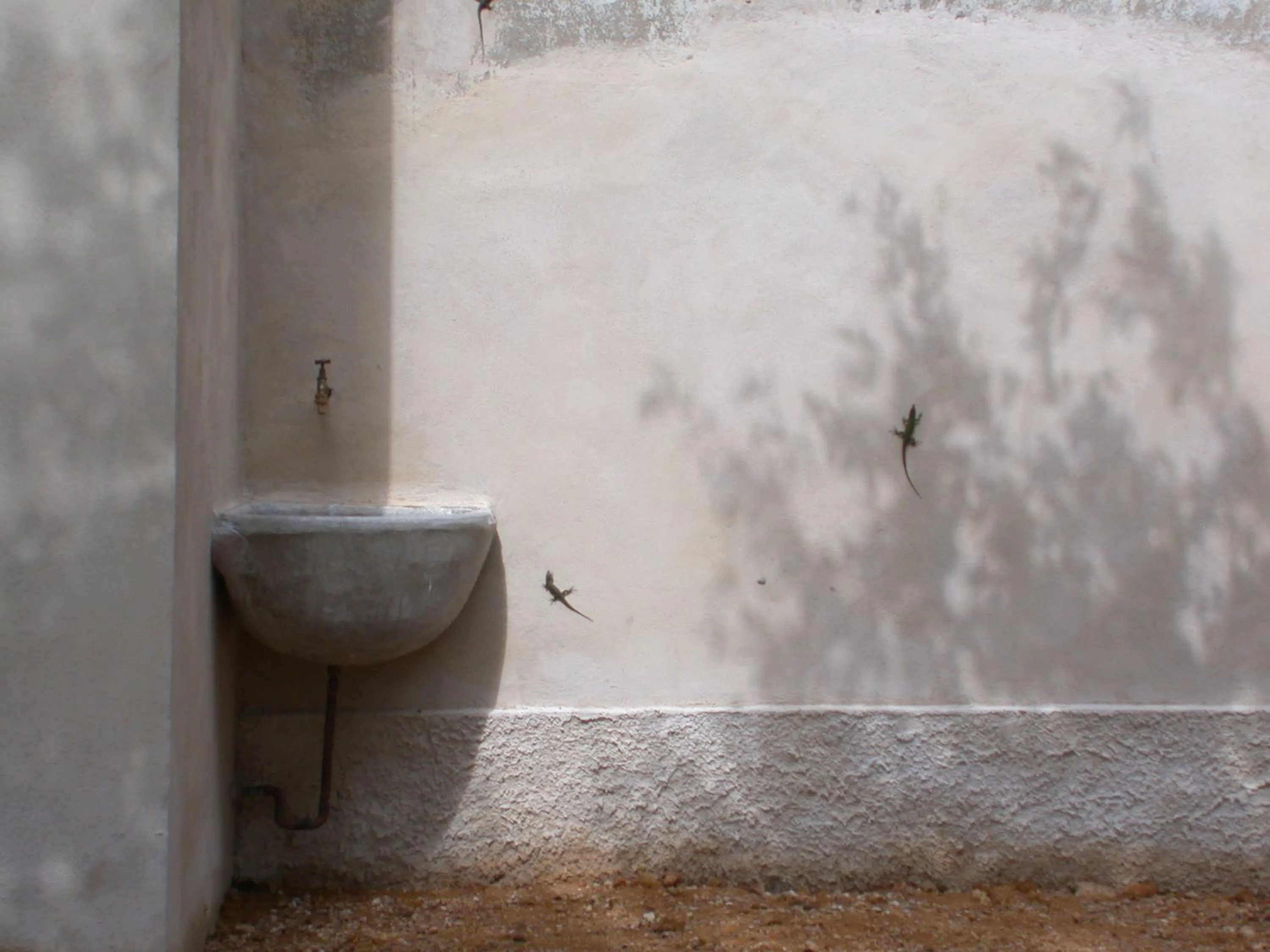 Decorative detail in Casa del Geco