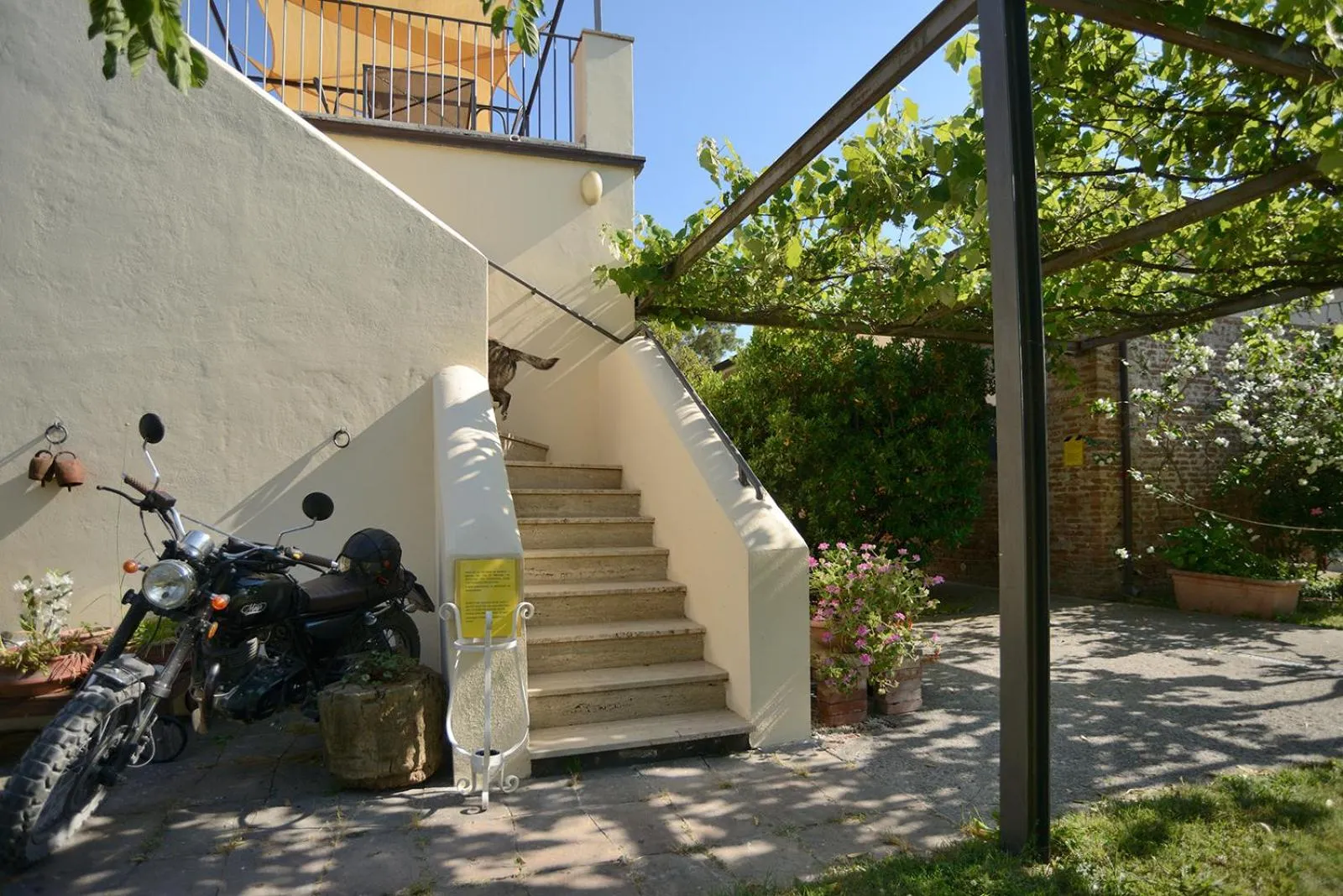 Garden in Casa del Geco