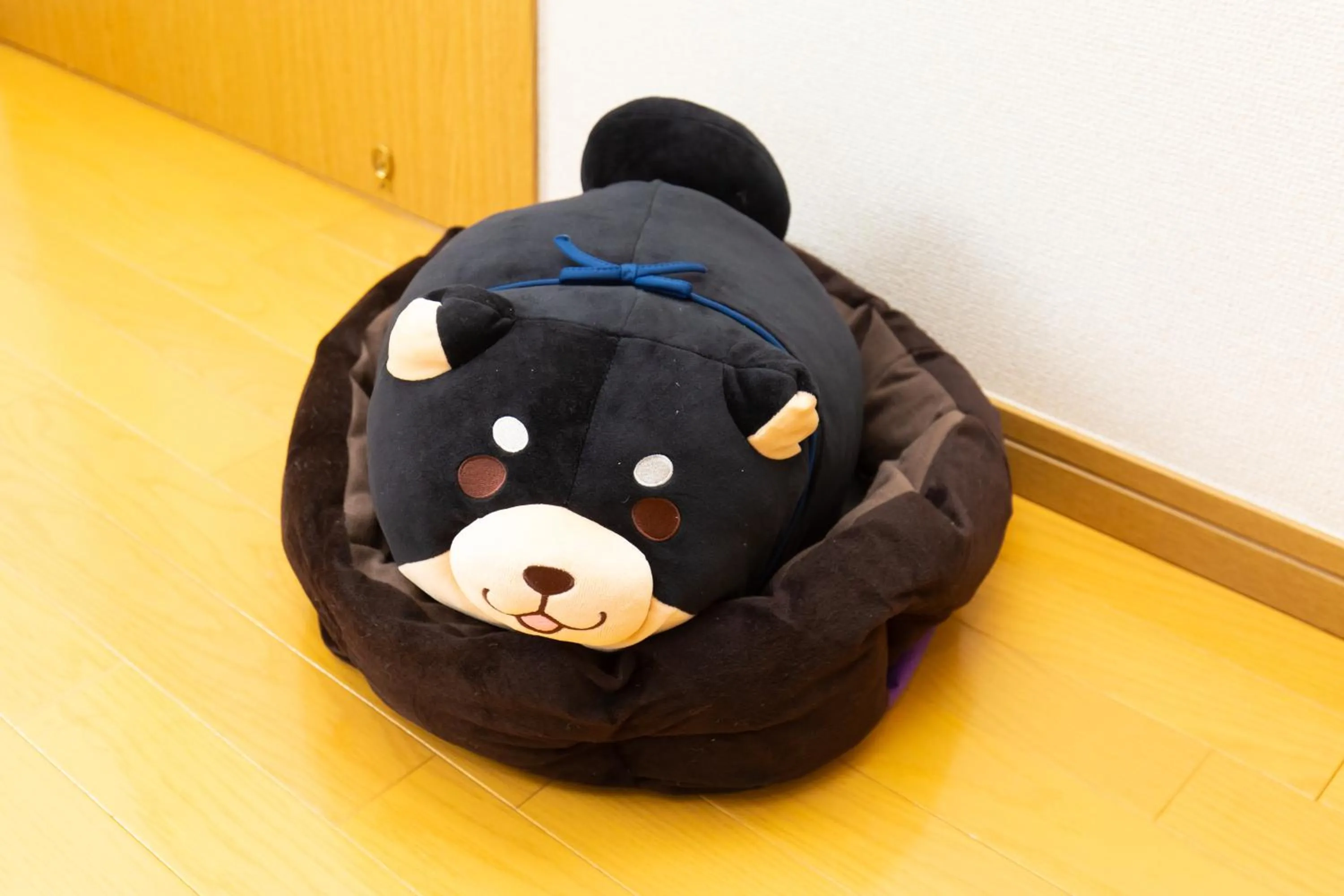 Photo of the whole room in Minami-Aoyama-1st