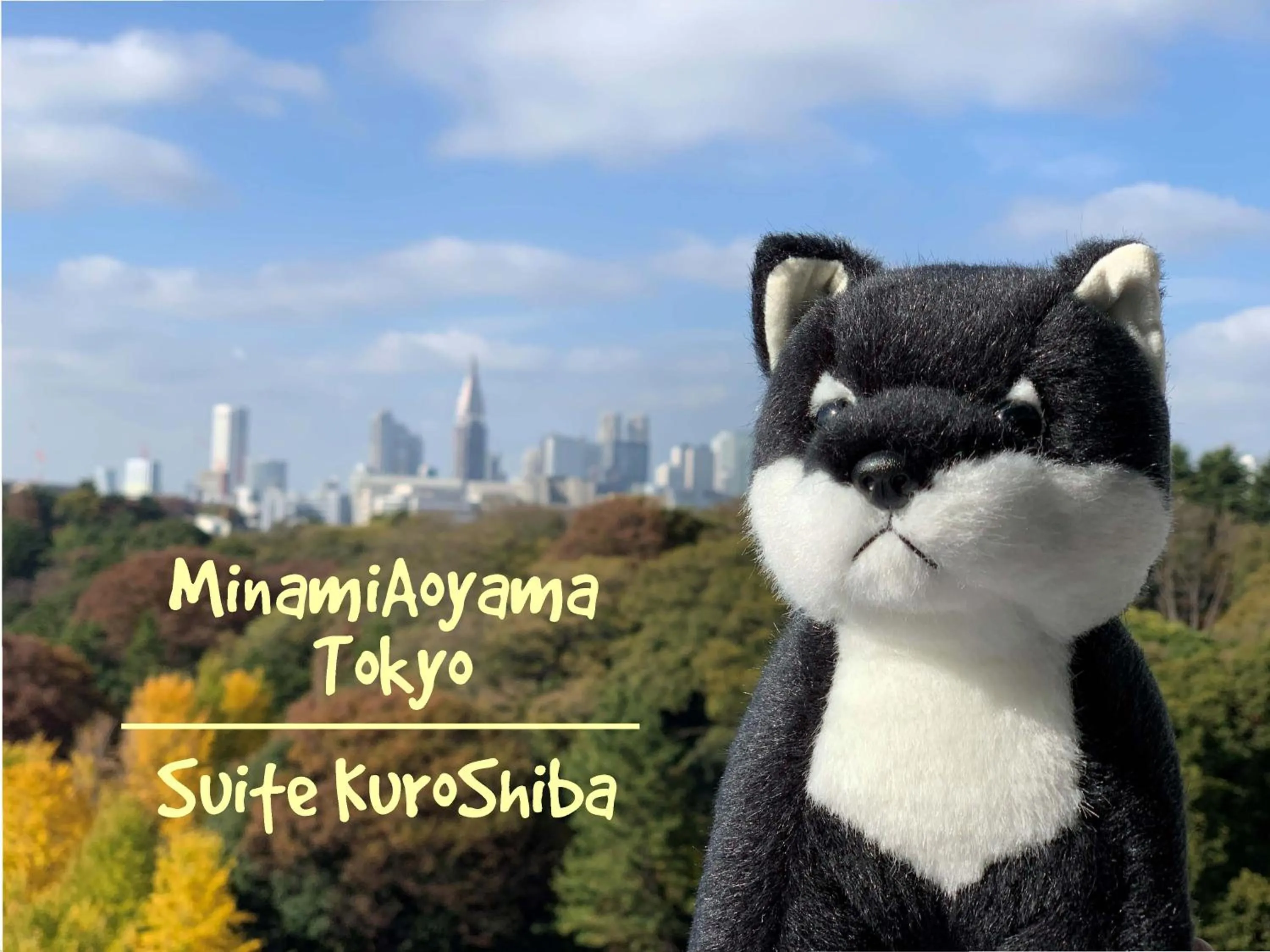 Other in Minami-Aoyama-1st