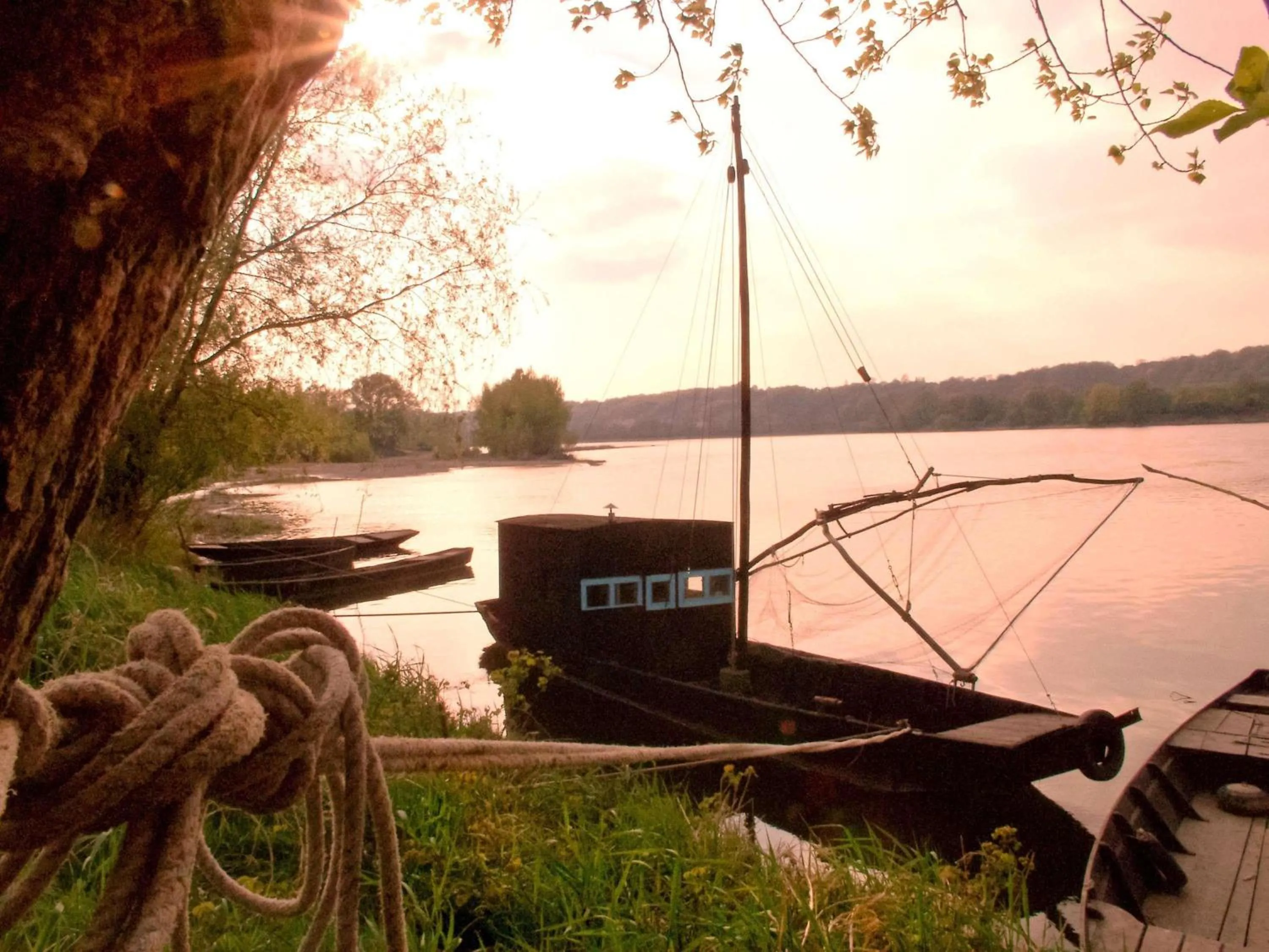 Other in Novotel Tours Centre Gare