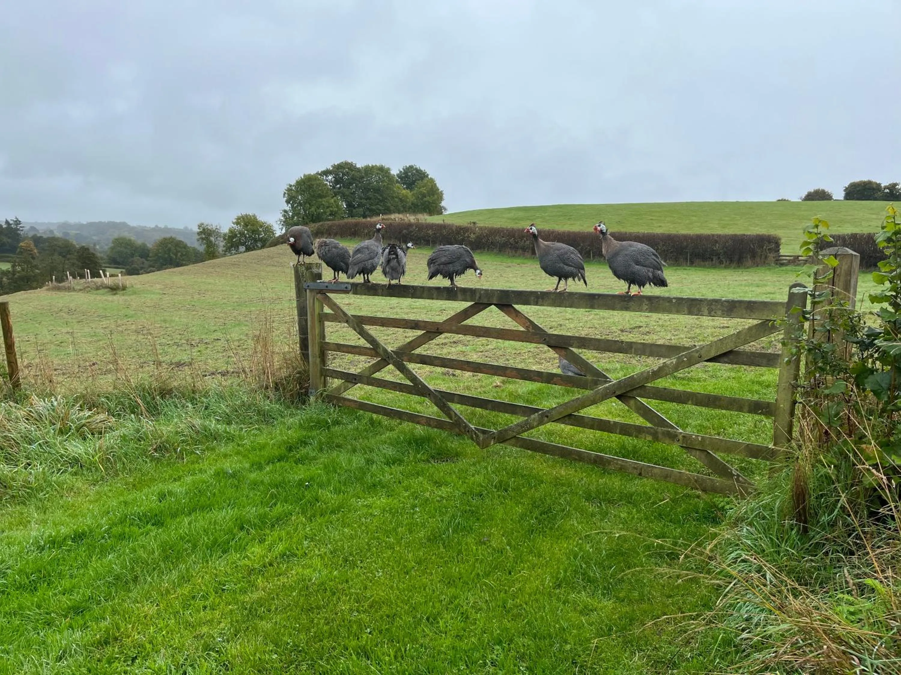 The old forge bed and breakfast