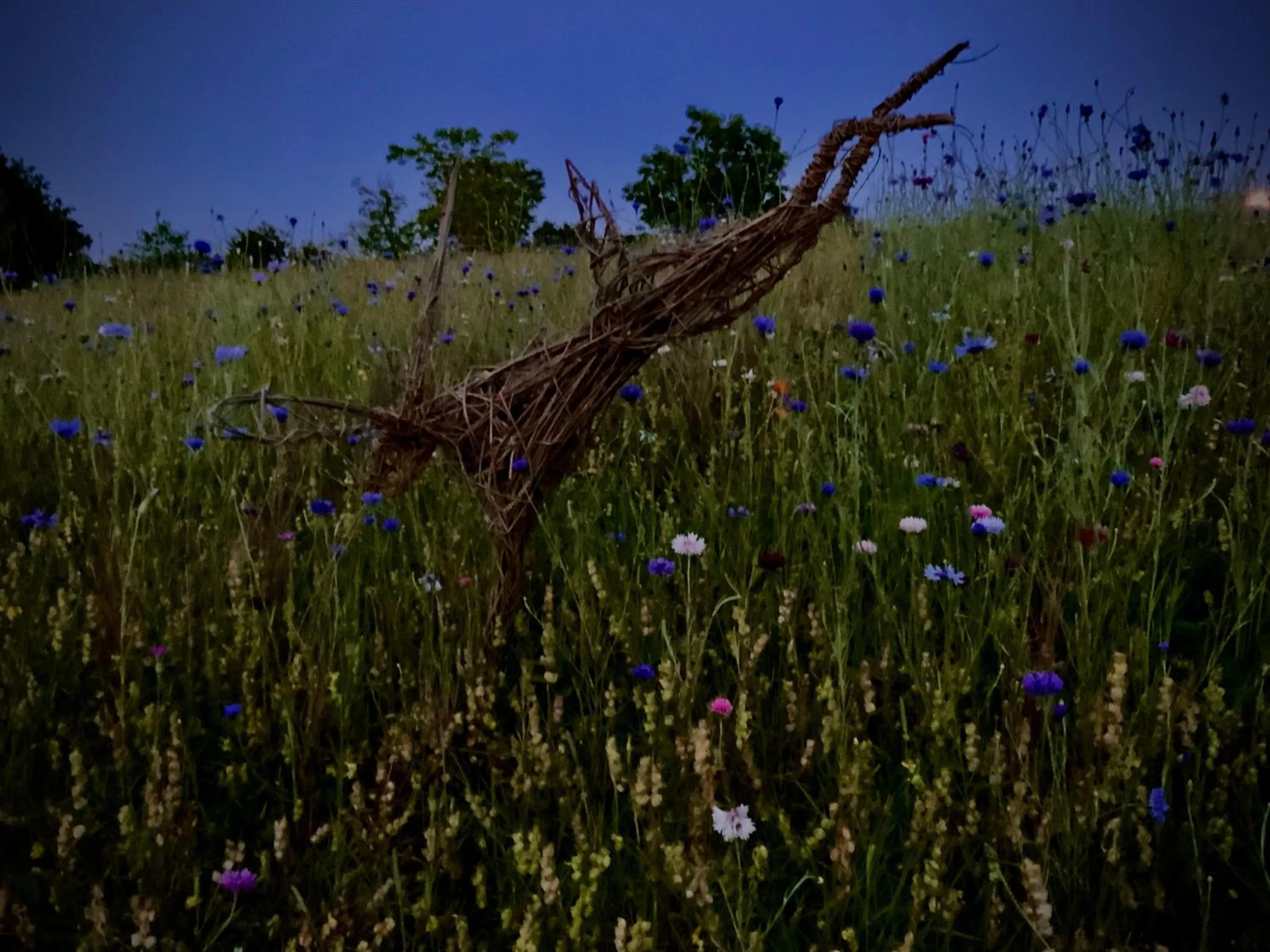 The old forge bed and breakfast