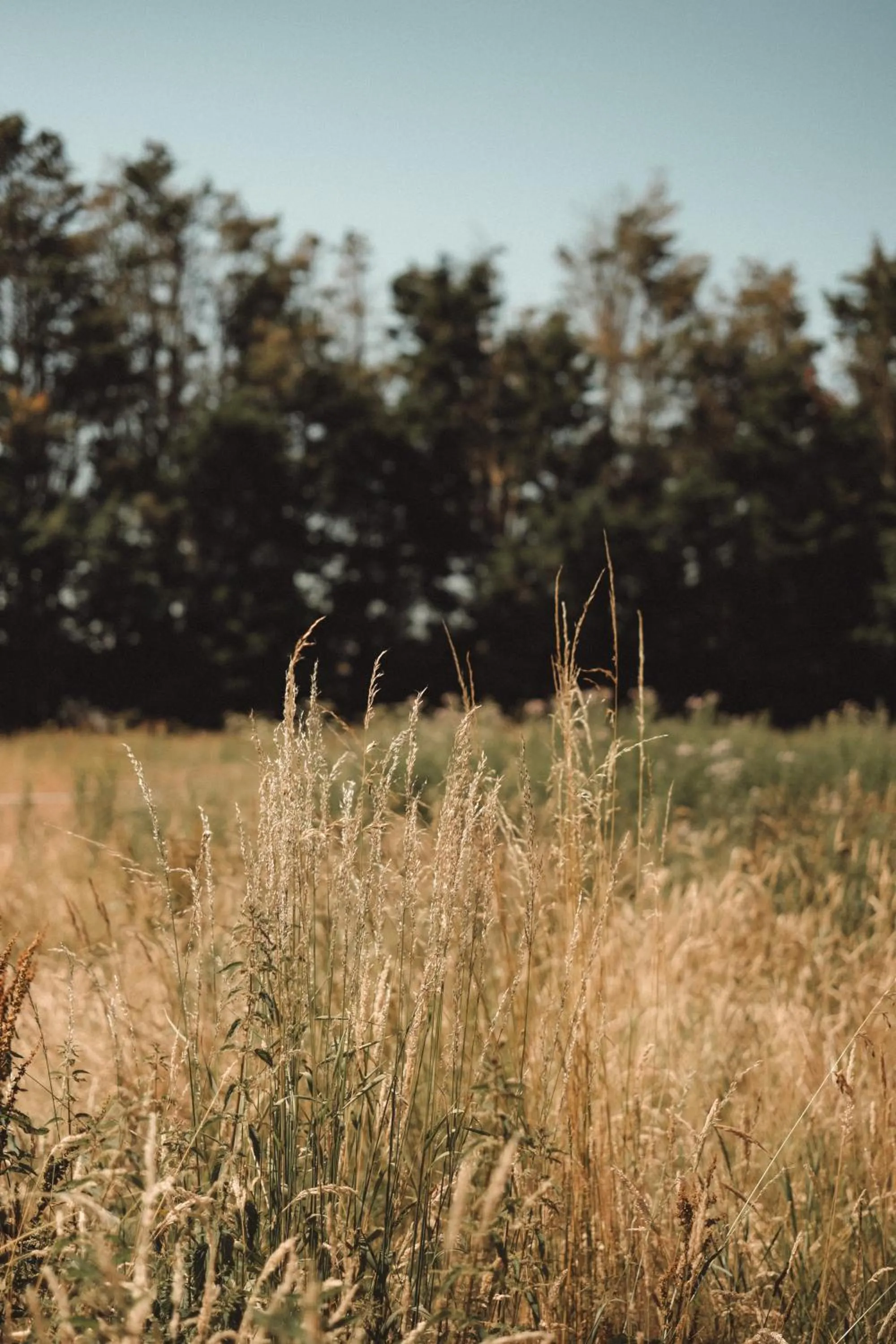 Natural landscape in Hôtel Les Voisins Beaucemaine