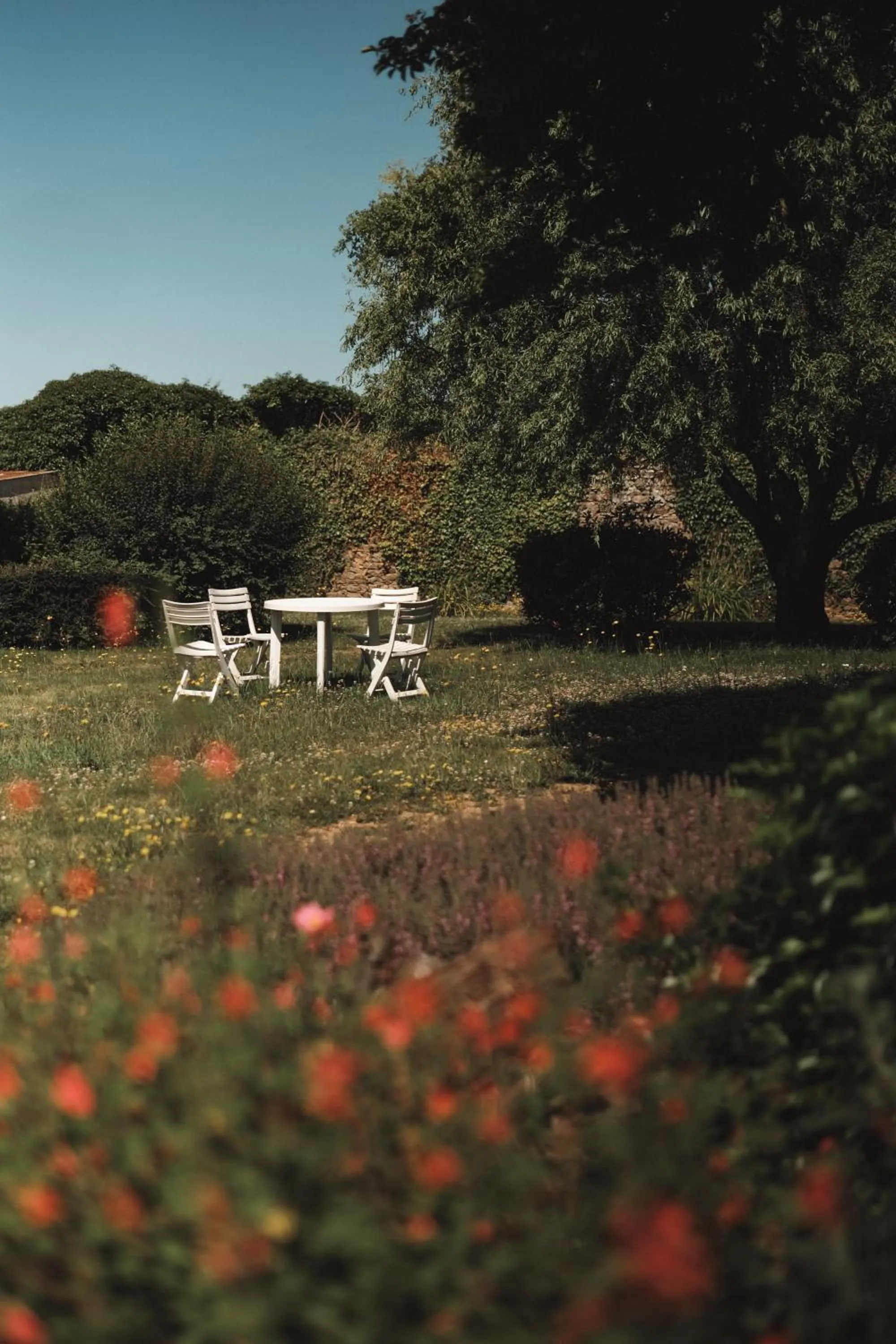 Natural landscape in Hôtel Les Voisins Beaucemaine