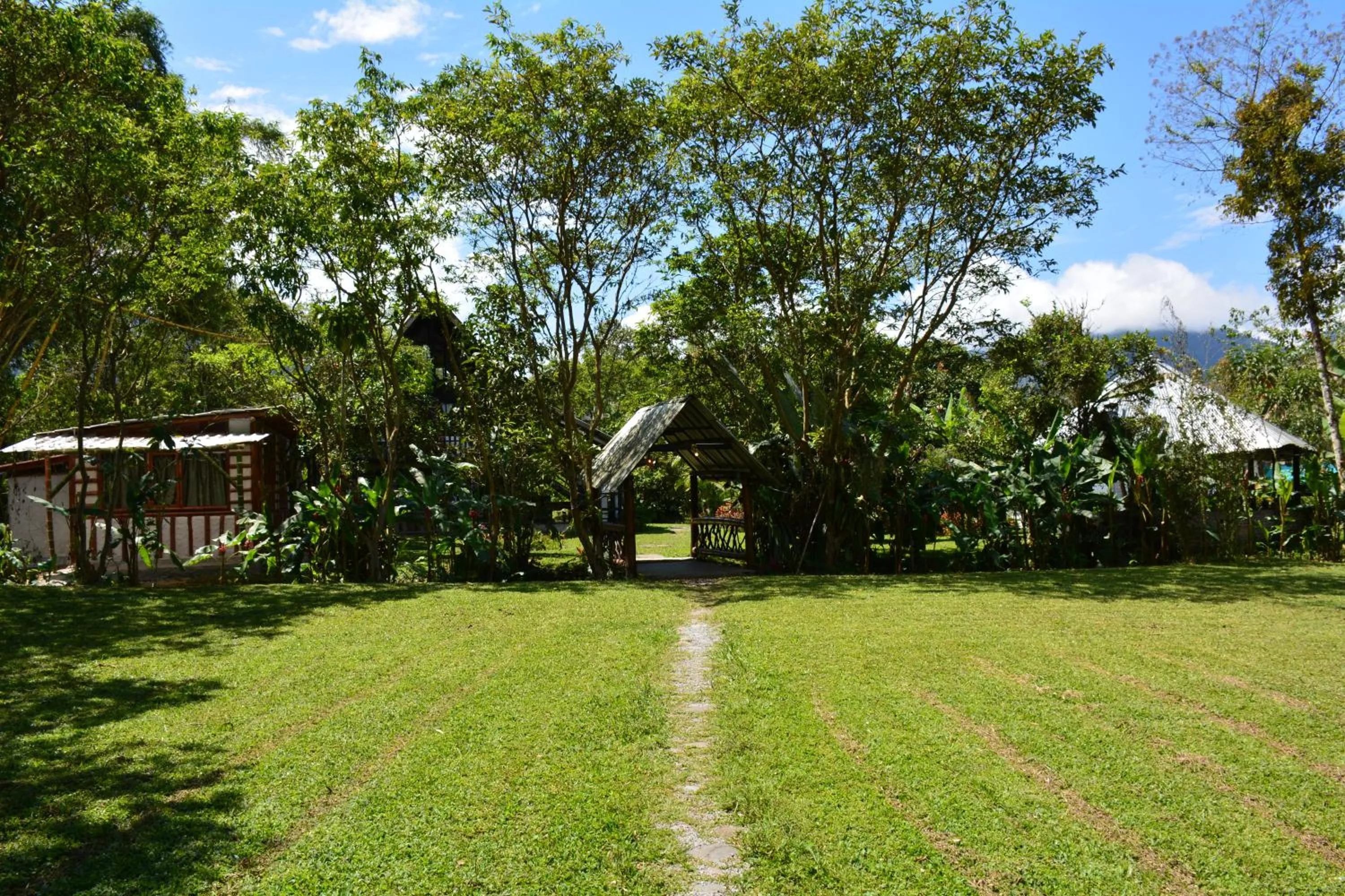 Spring in Casa de Piedra