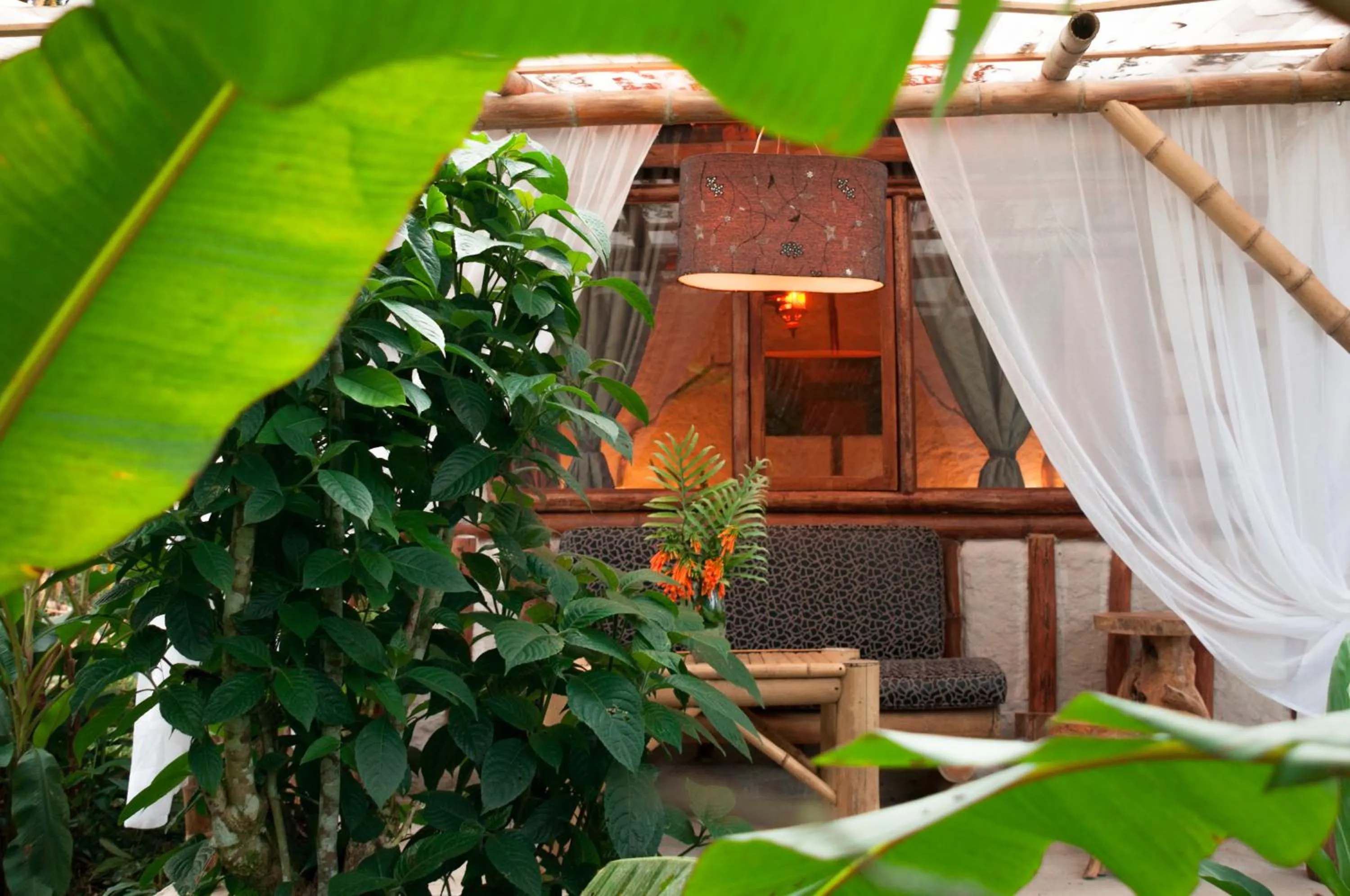 Patio in Casa de Piedra