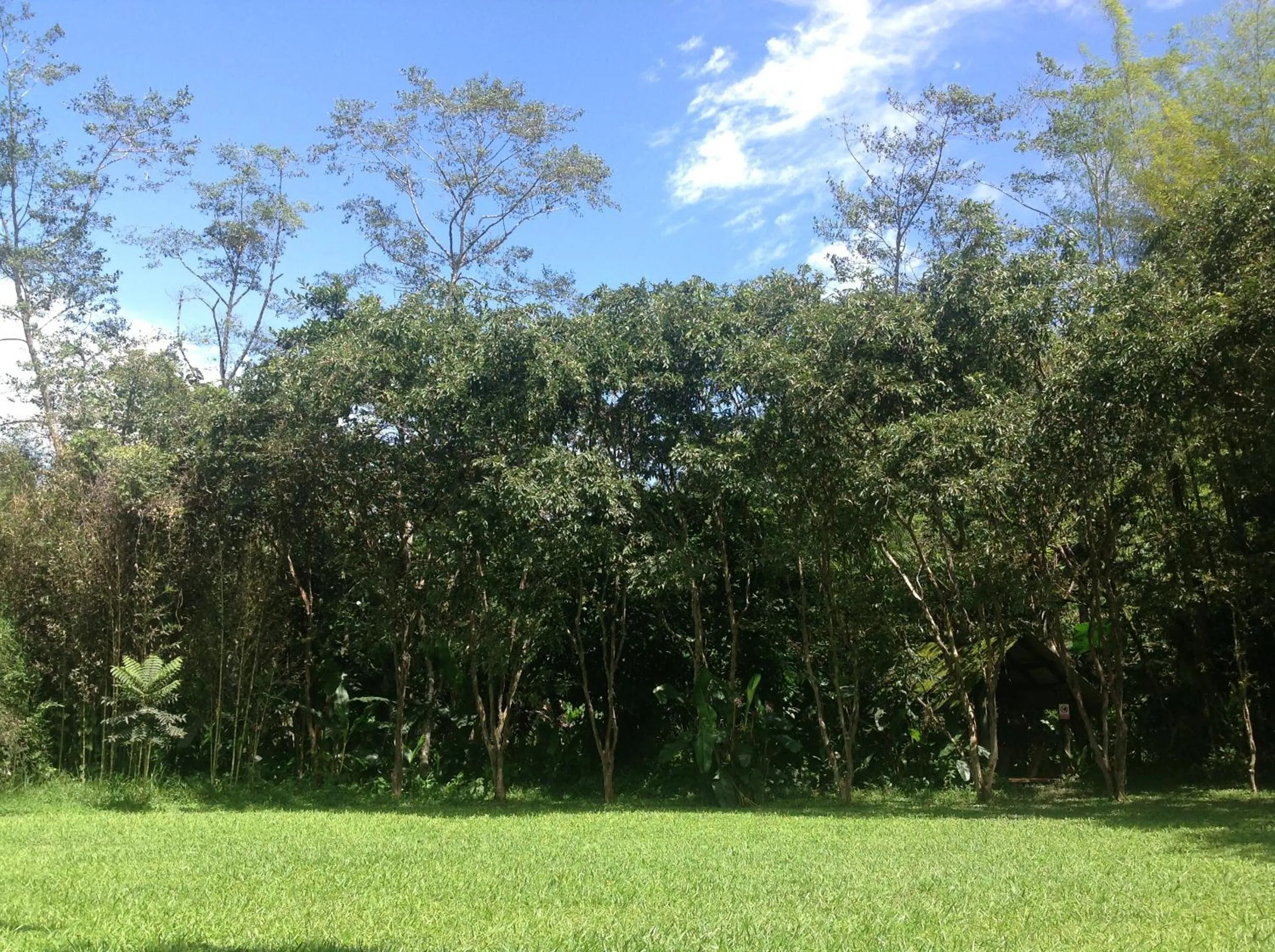 Garden in Casa de Piedra