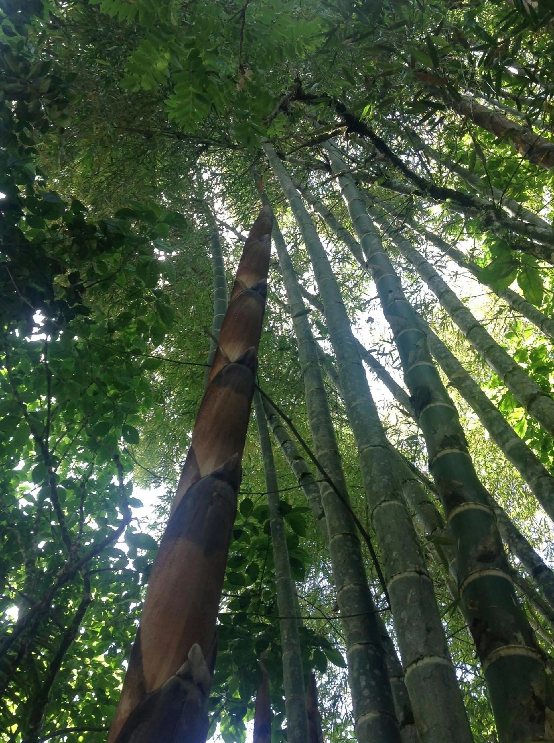 Natural landscape in Casa de Piedra