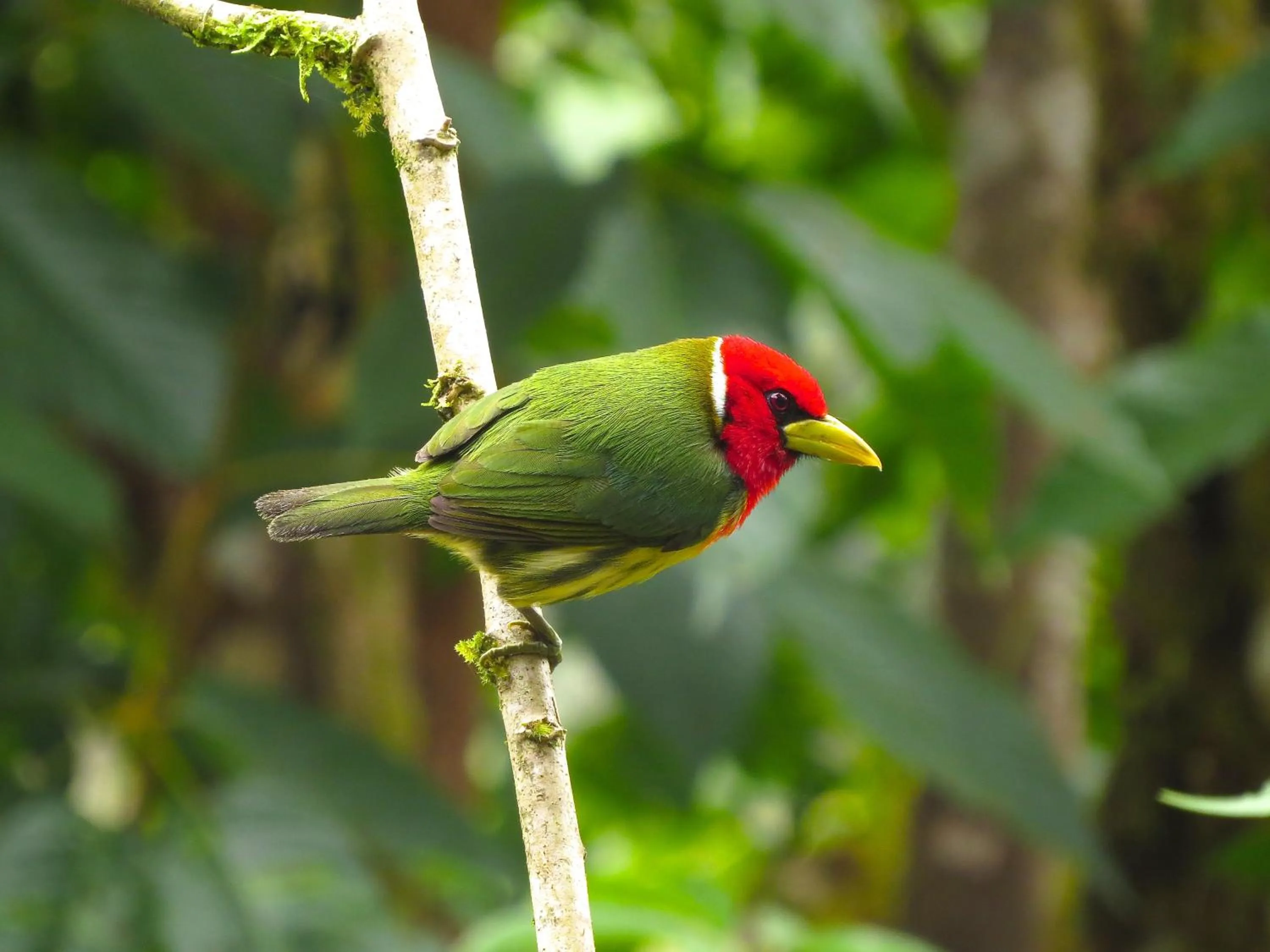 Off site in Casa de Piedra