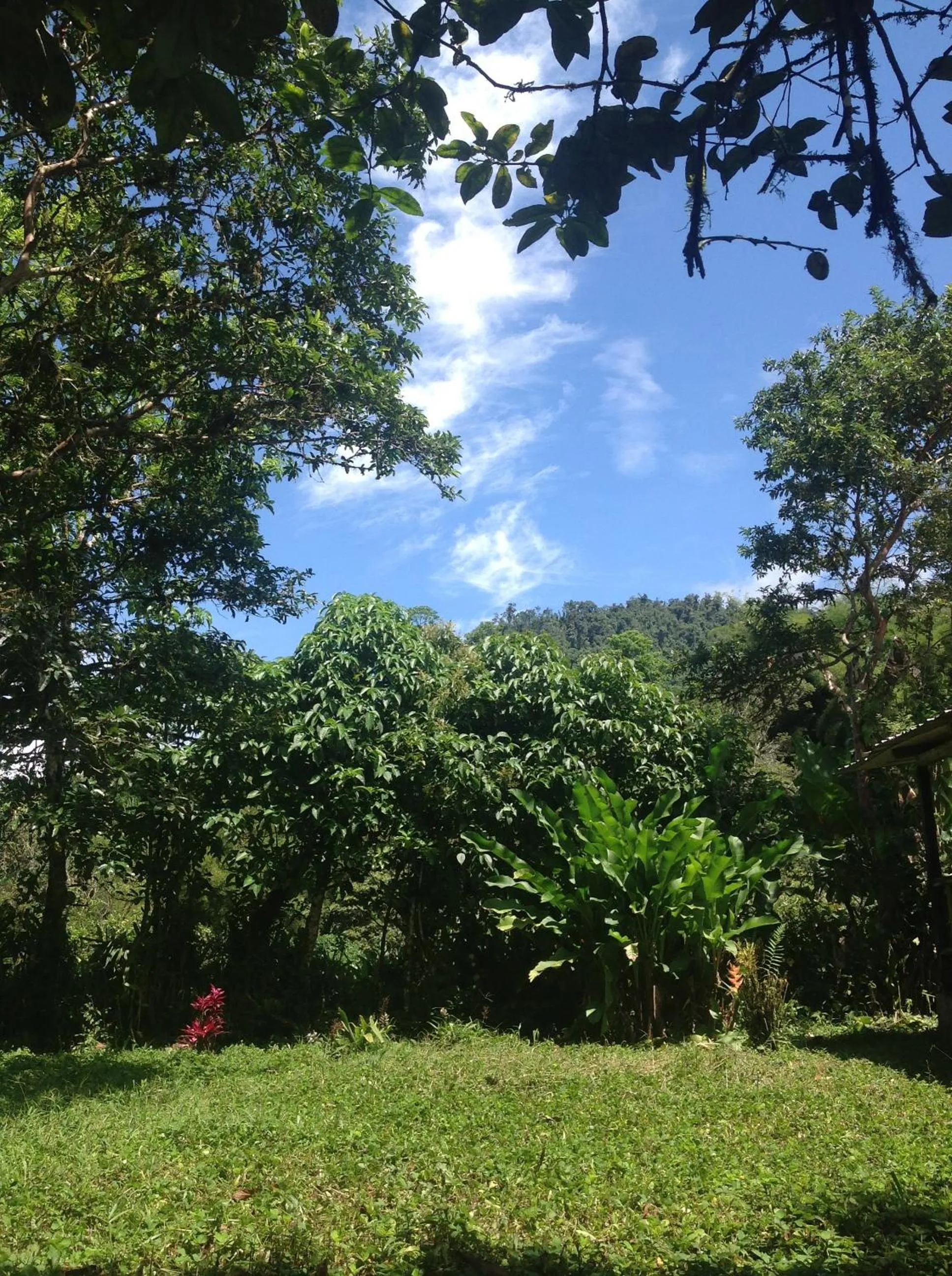 Garden in Casa de Piedra