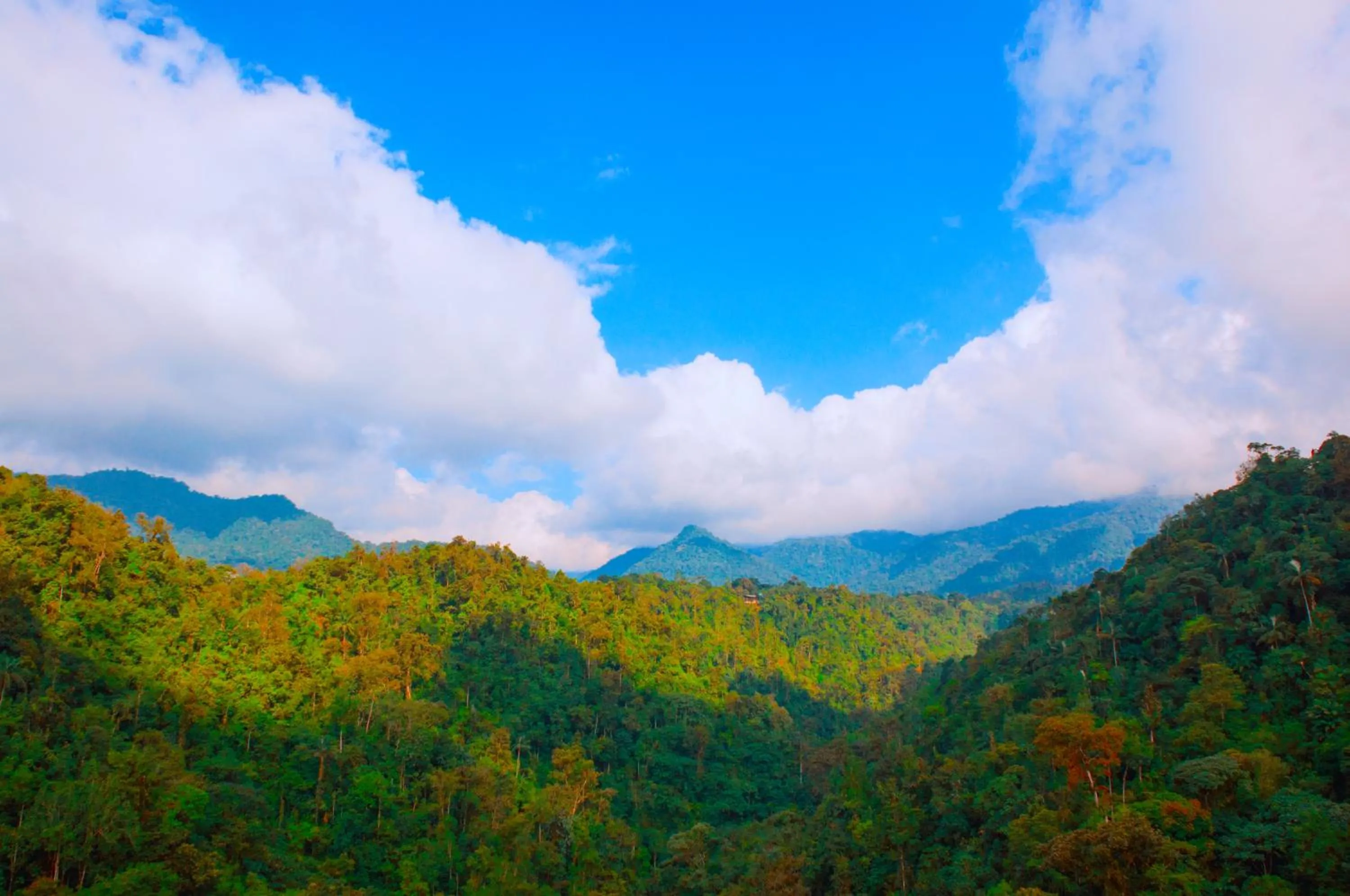 View (from property/room) in Casa de Piedra