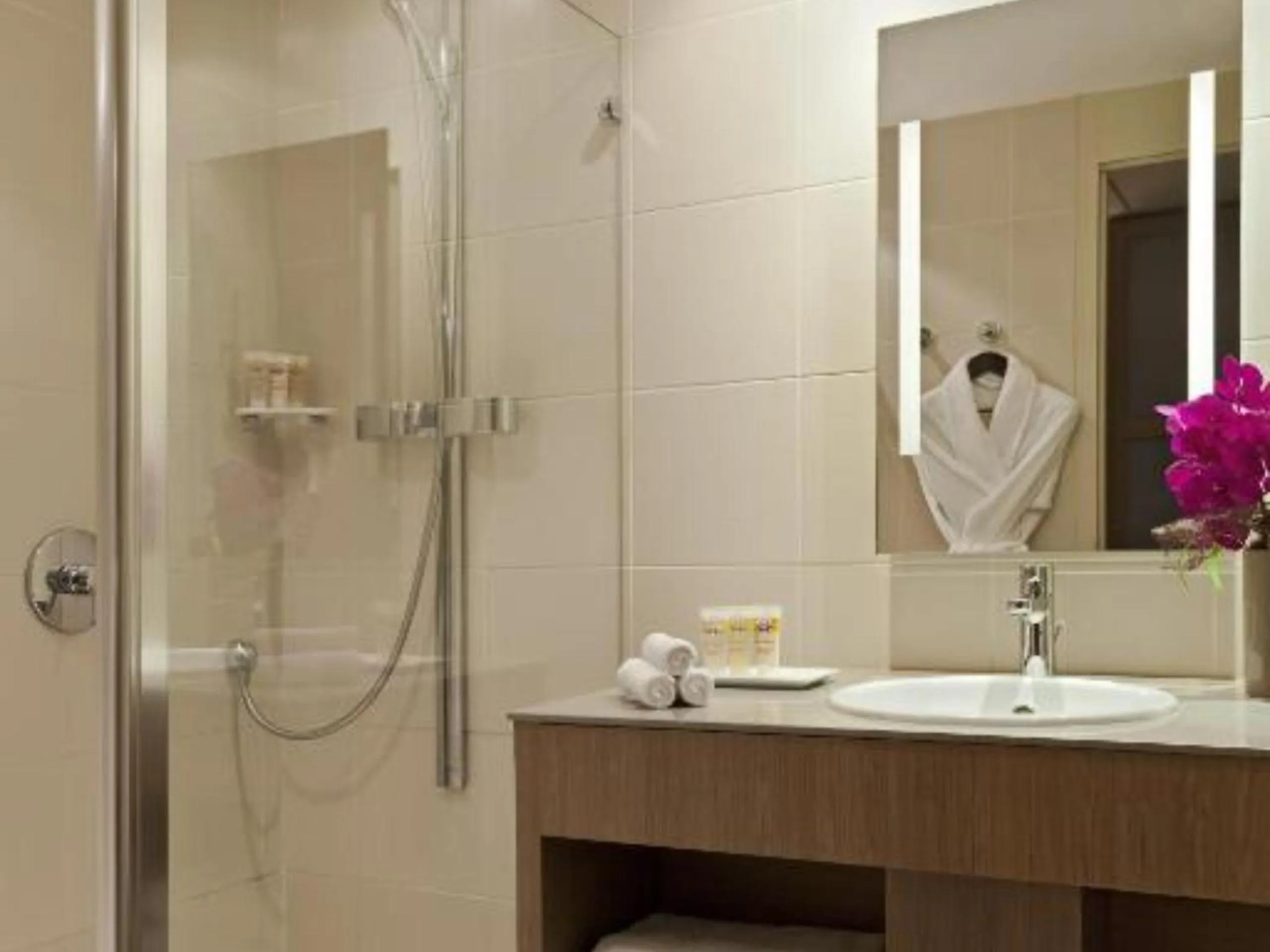 Shower in Pullman Bordeaux Lac