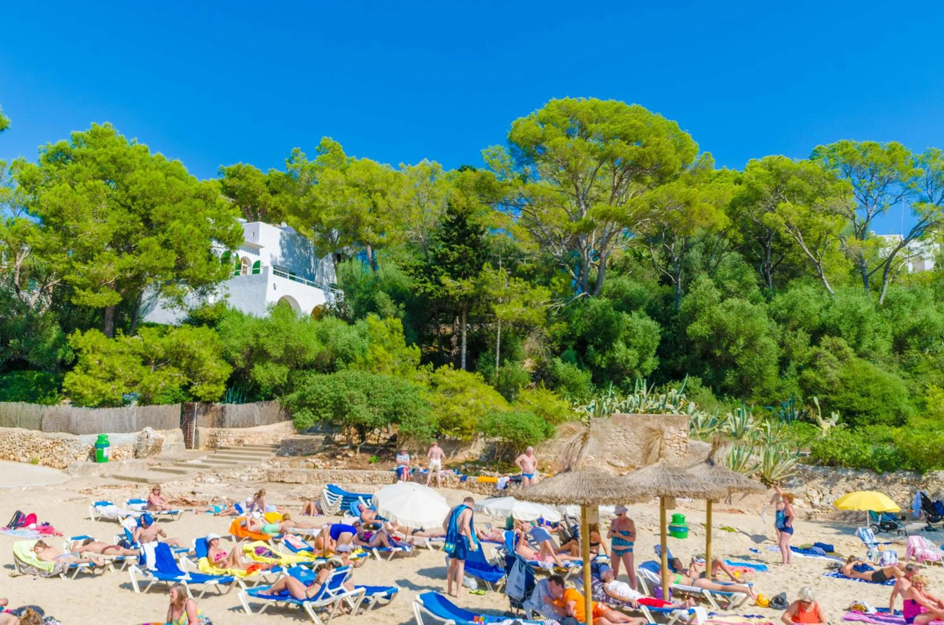 Beach in Hostal Talamanca