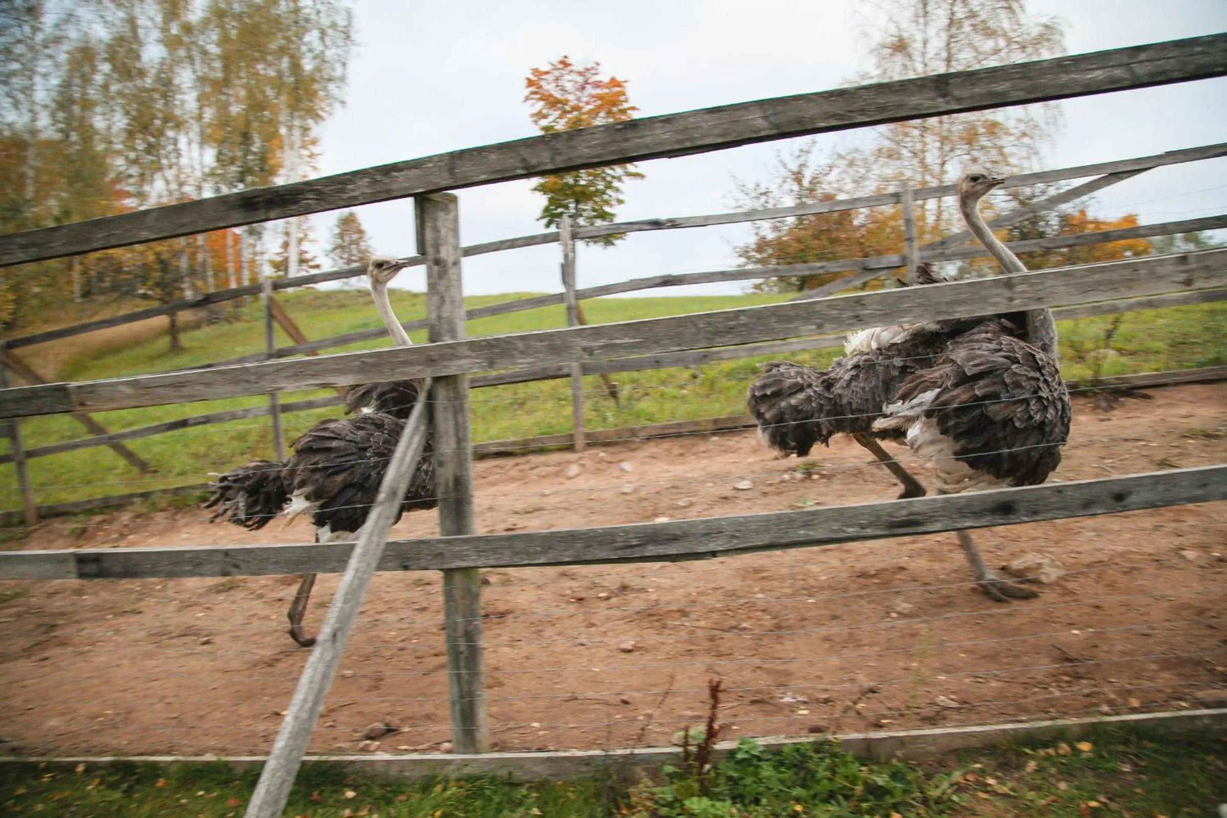 Day in Weavers' Guest House Kalndaki