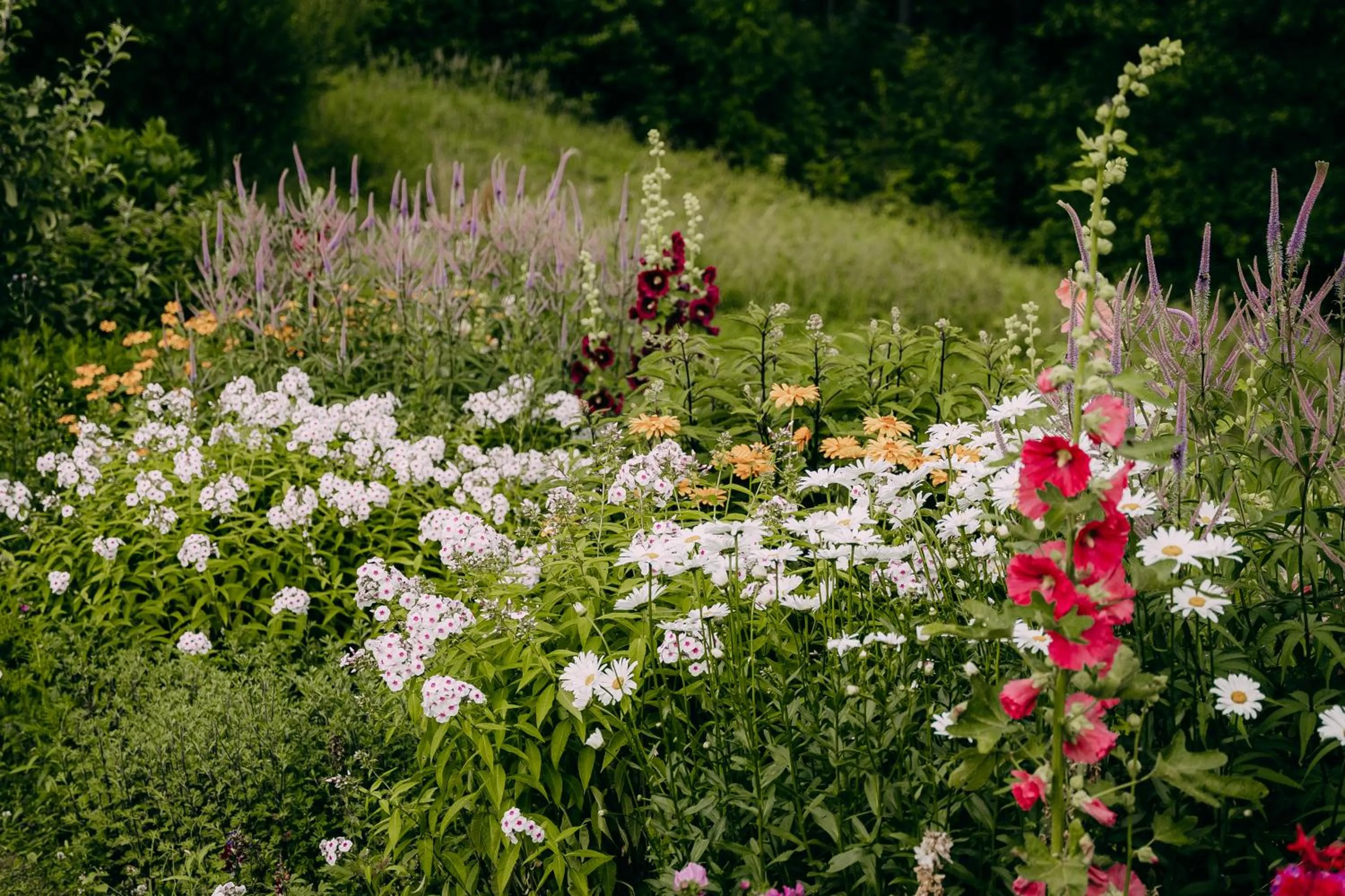 Neighbourhood in Weavers' Guest House Kalndaki