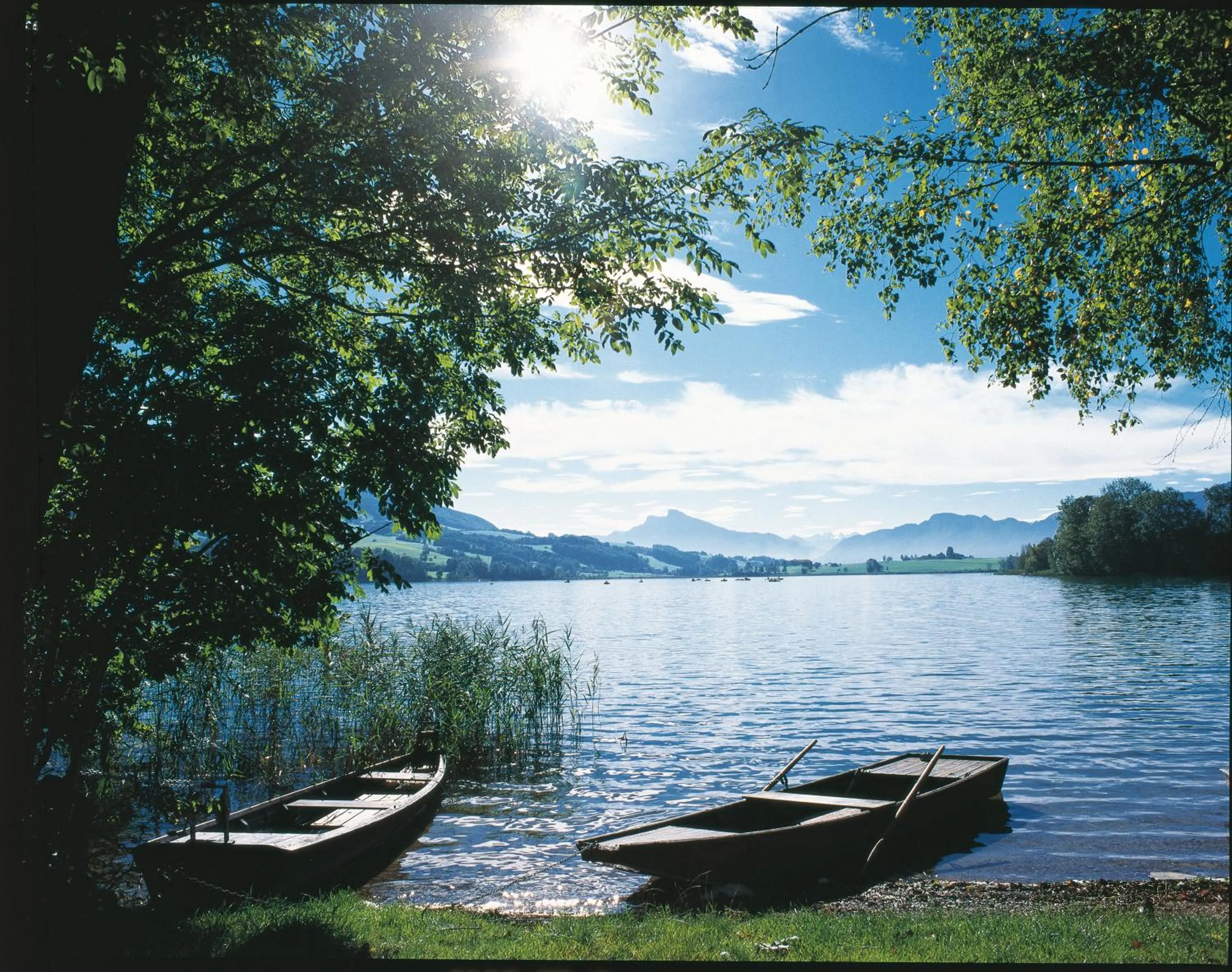 Natural landscape in Hotel Garni Dorferwirt am Irrsee