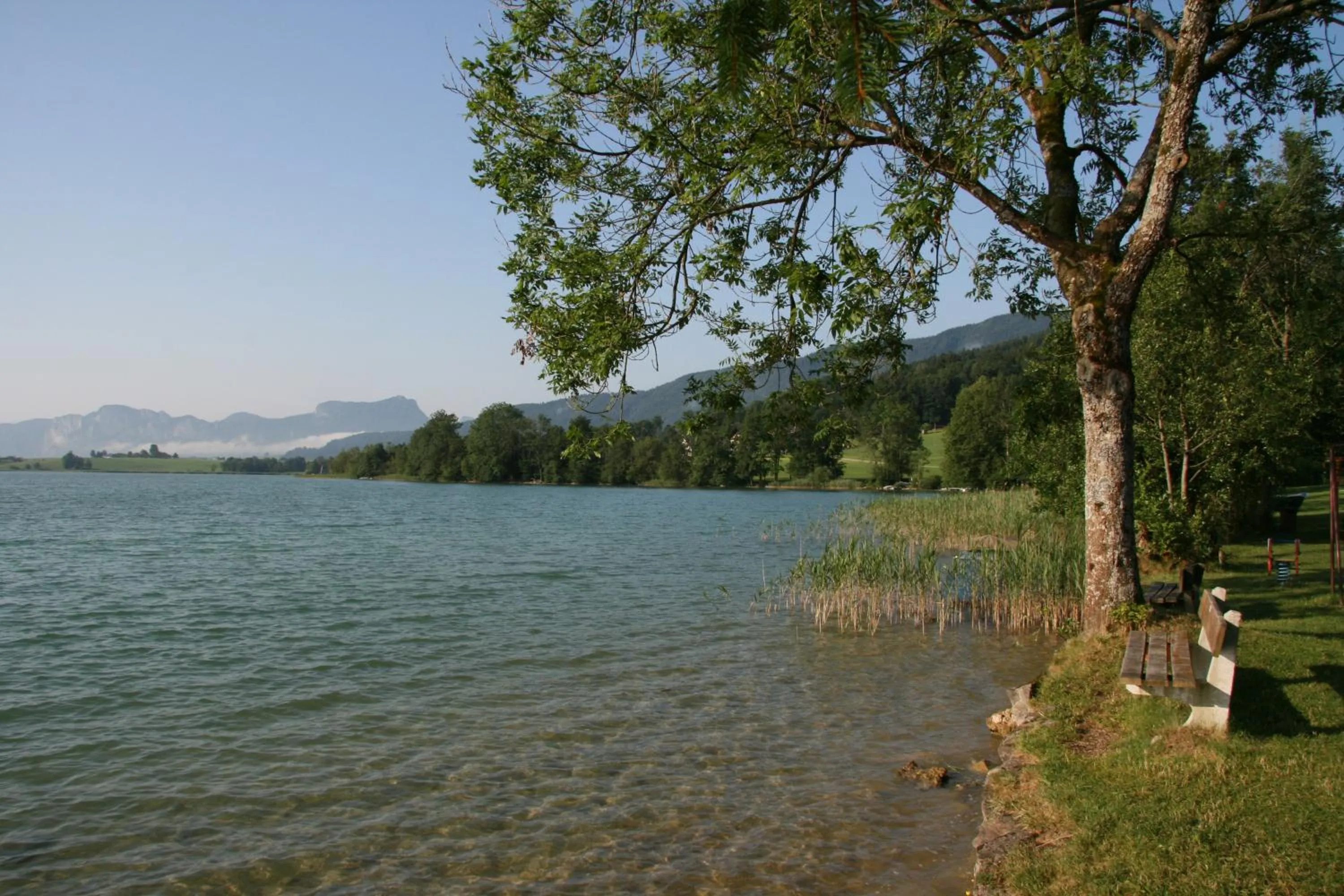 Natural landscape in Hotel Garni Dorferwirt am Irrsee