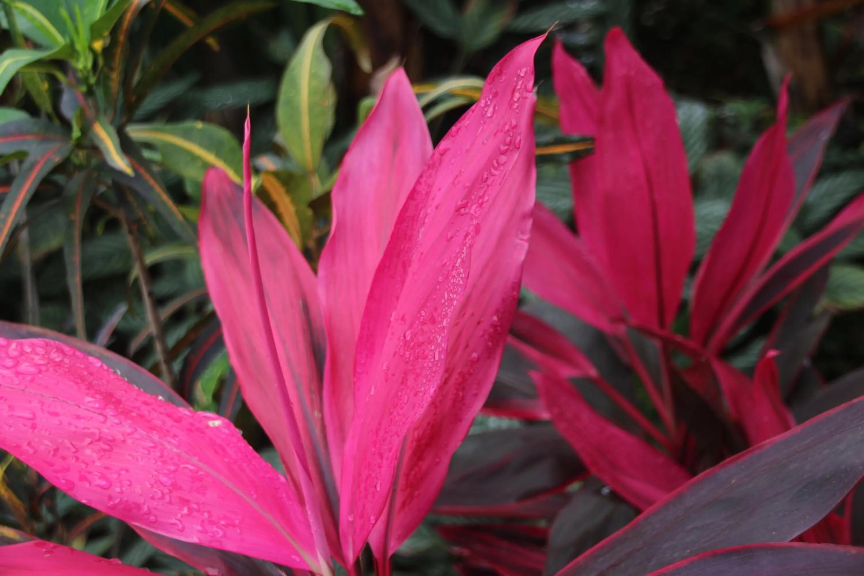 Other in Pousada do Marujo